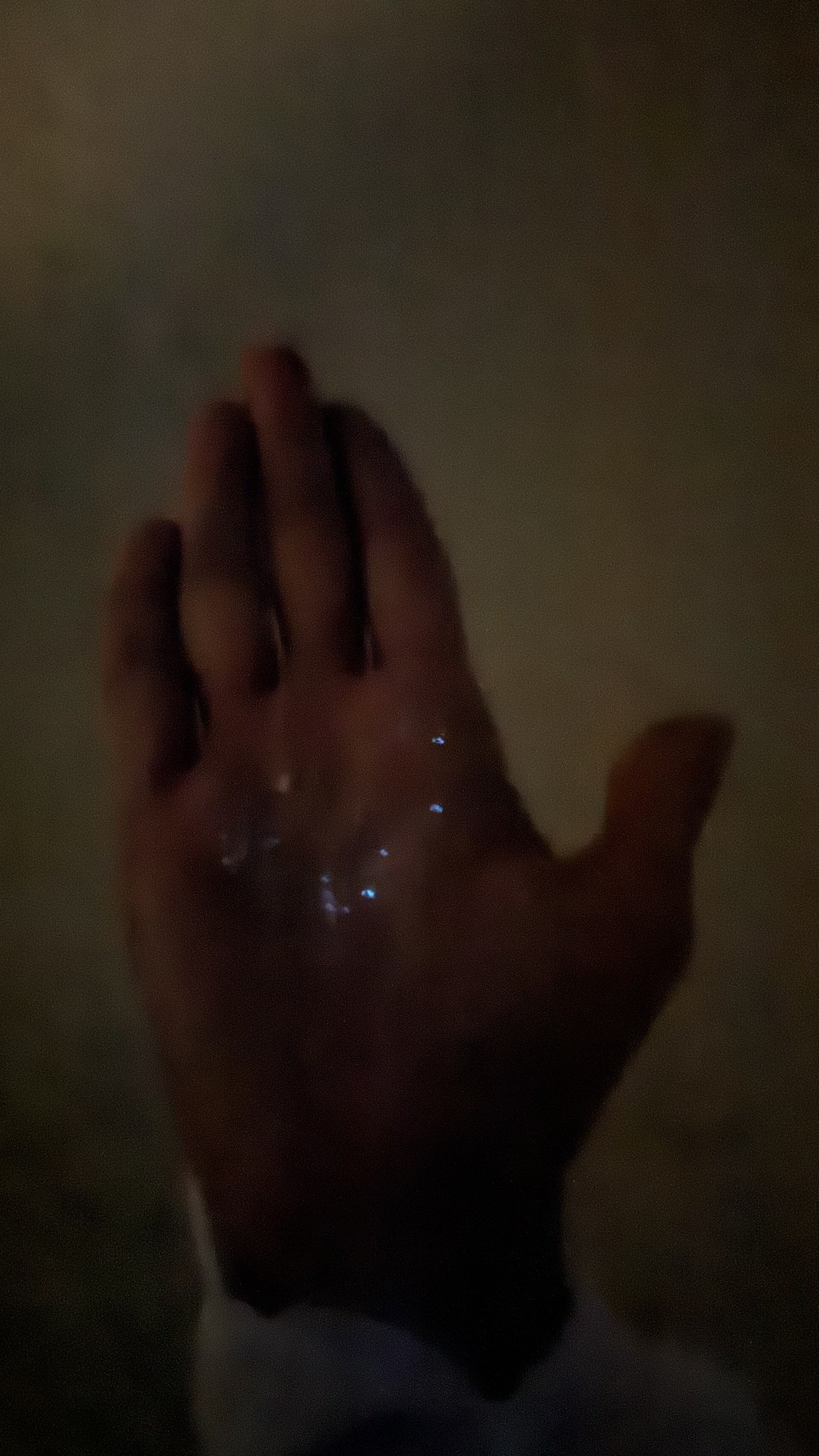 Приключения на острове Фуладу! Три острова! (23/33)