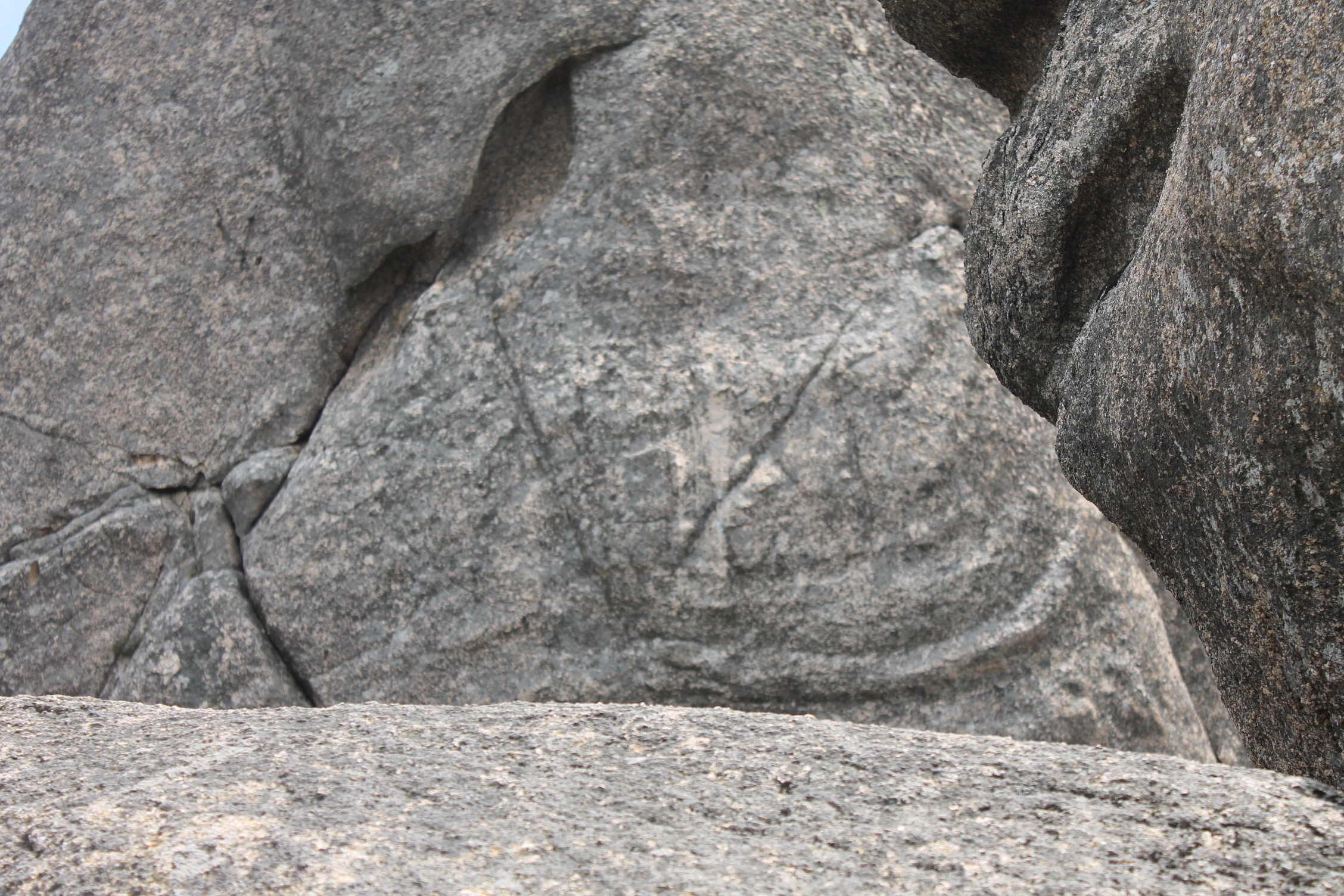 Экскурсия Долина Атлантов и бухта Спокойная (4/15)