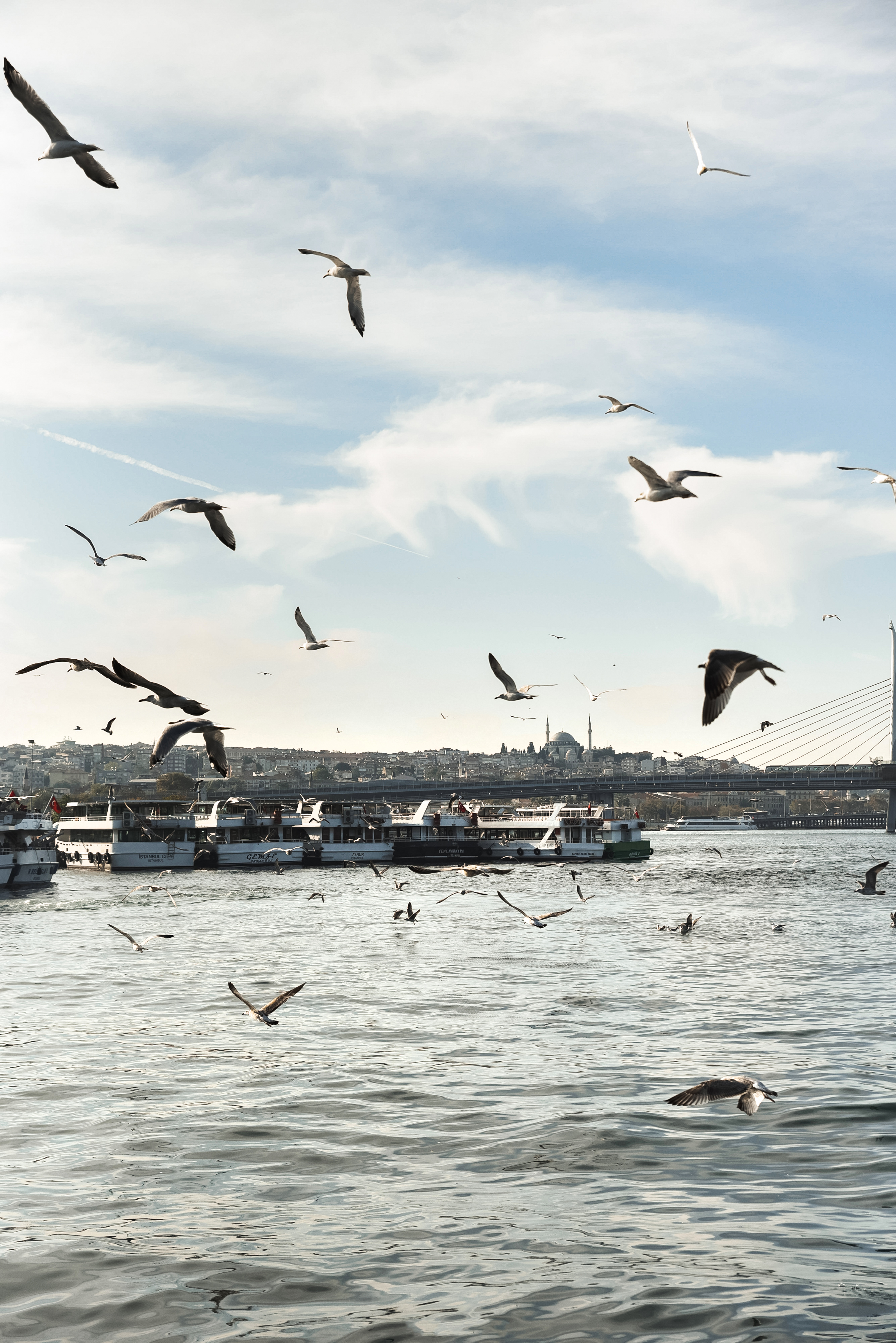 Стамбул: праздник весны и эстетики (фототур) (8/22)