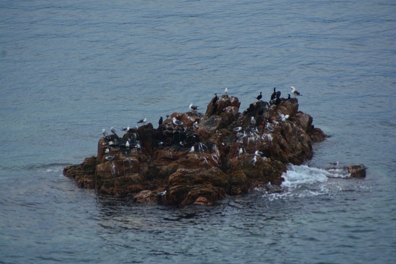 Экскурсия 6 островов: морская одиссея по островам архипелага Императрицы Евгении (11/18)