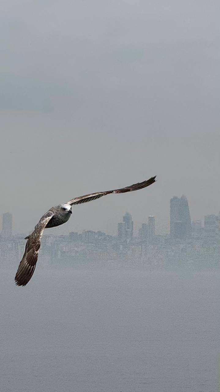 Турция: Каппадокийские Сказки и Стамбульские Легенды! (14/57)
