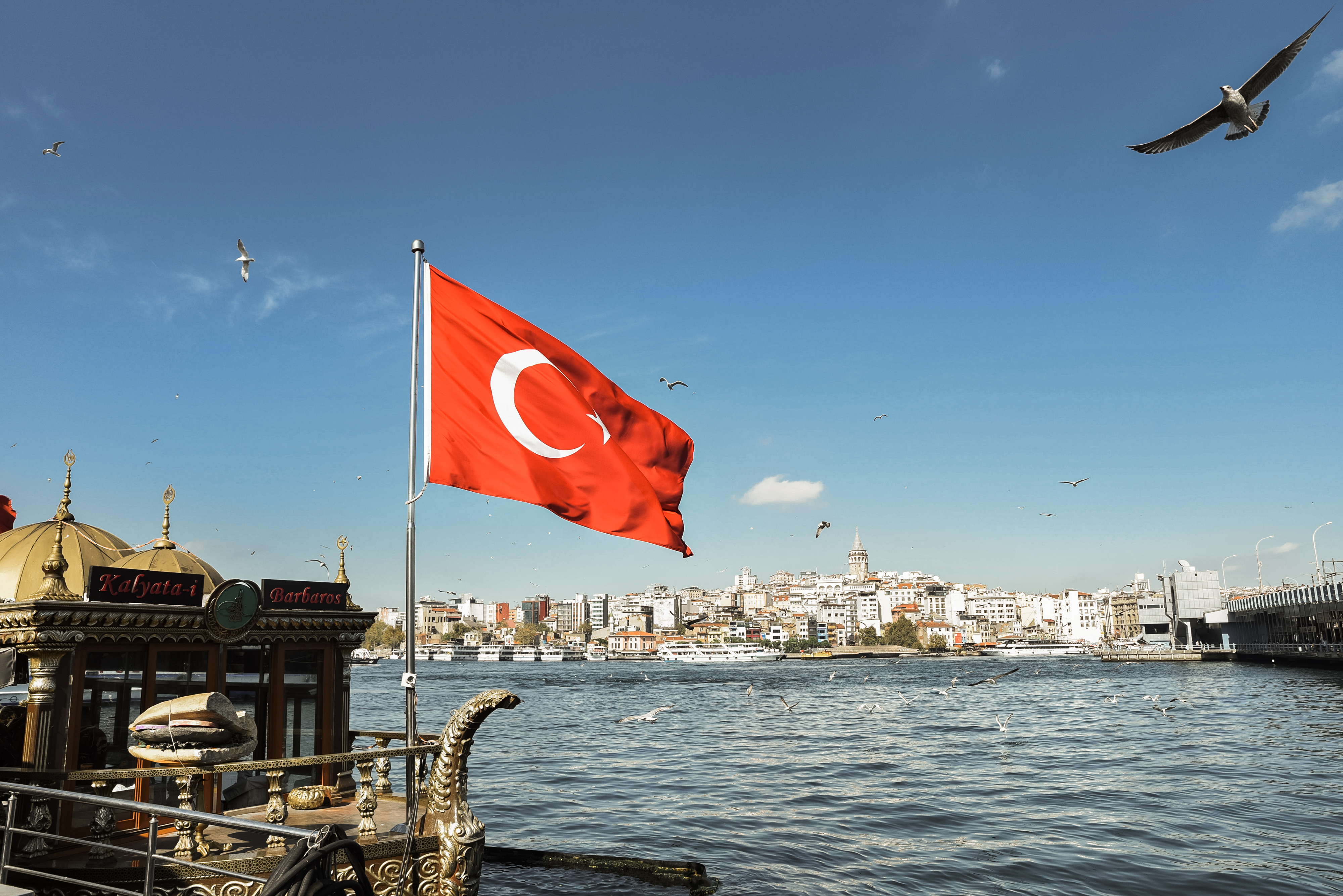 Стамбул: праздник весны и эстетики (фототур) (7/22)