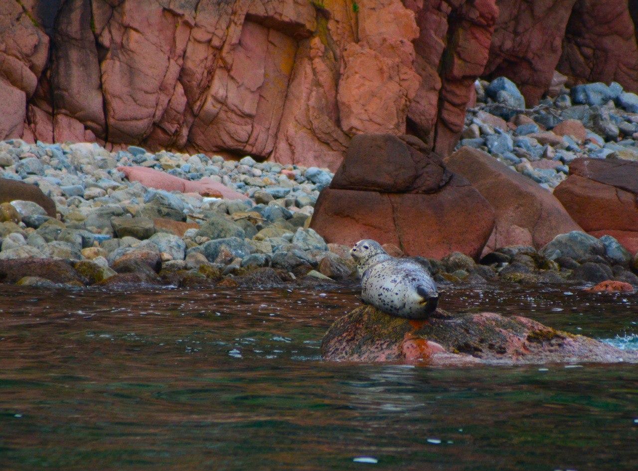 Экскурсия 6 островов: морская одиссея по островам архипелага Императрицы Евгении (9/18)
