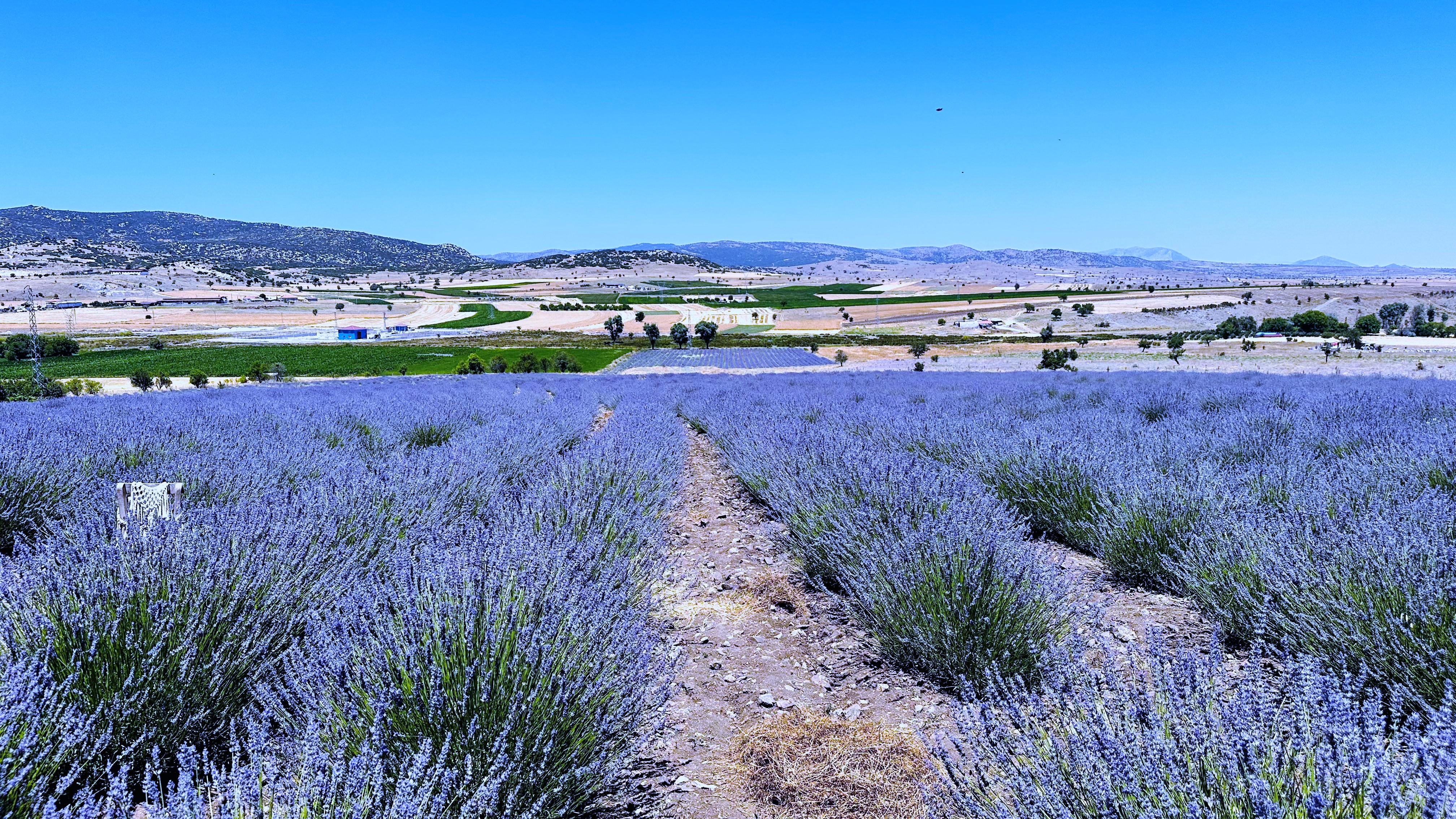 От Мечетей до Лавандовых Полей: Турецкое Приключение! (24/102)