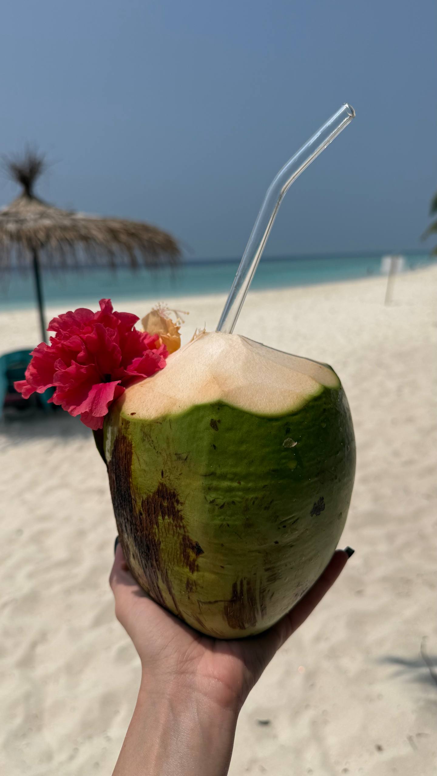 Йога-тур на Мальдивах (22/46)