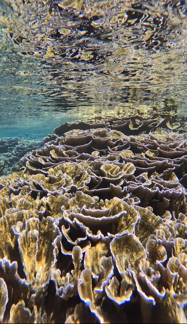 Приключения на острове Фуладу! Три острова! (16/33)