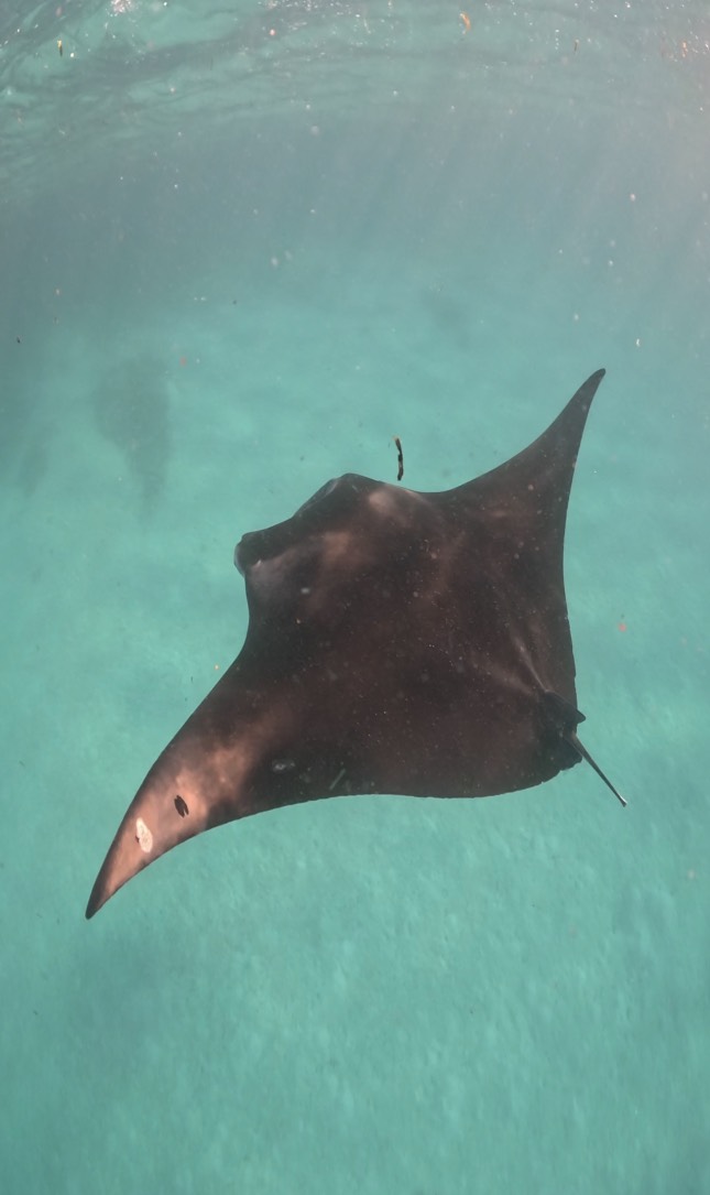 Приключения на острове Фуладу! Три острова! (14/33)