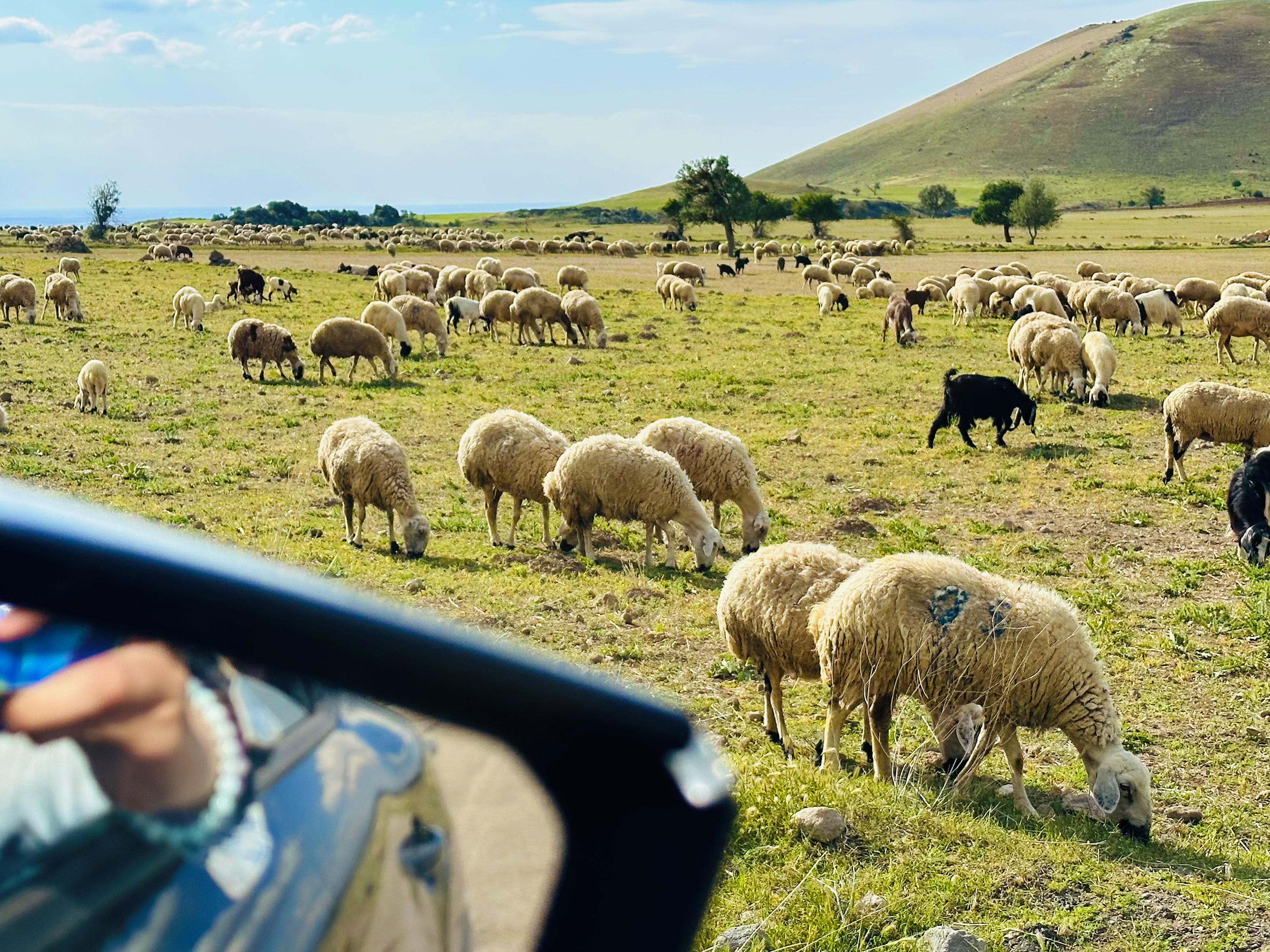 От Мечетей до Лавандовых Полей: Турецкое Приключение! (69/102)