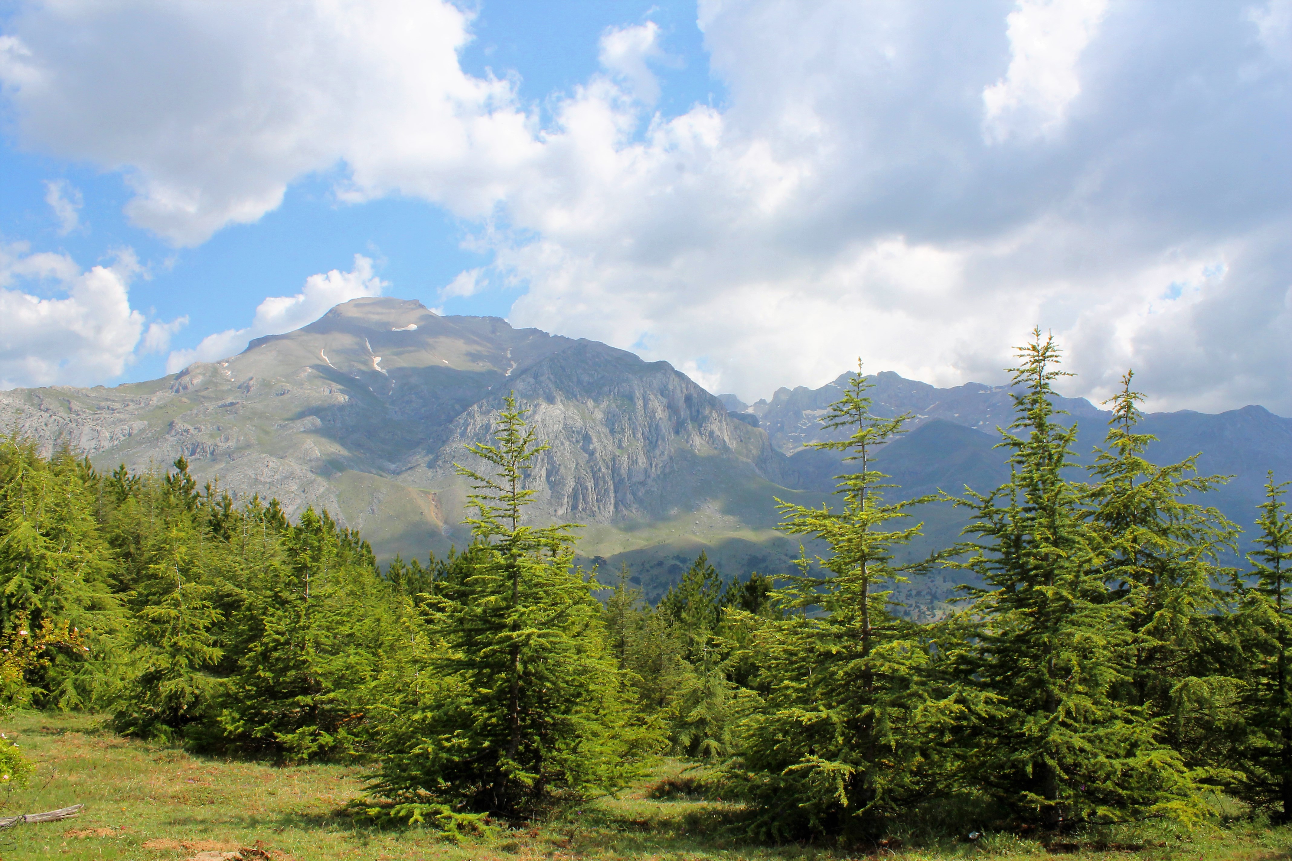 От Мечетей до Лавандовых Полей: Турецкое Приключение! (23/102)