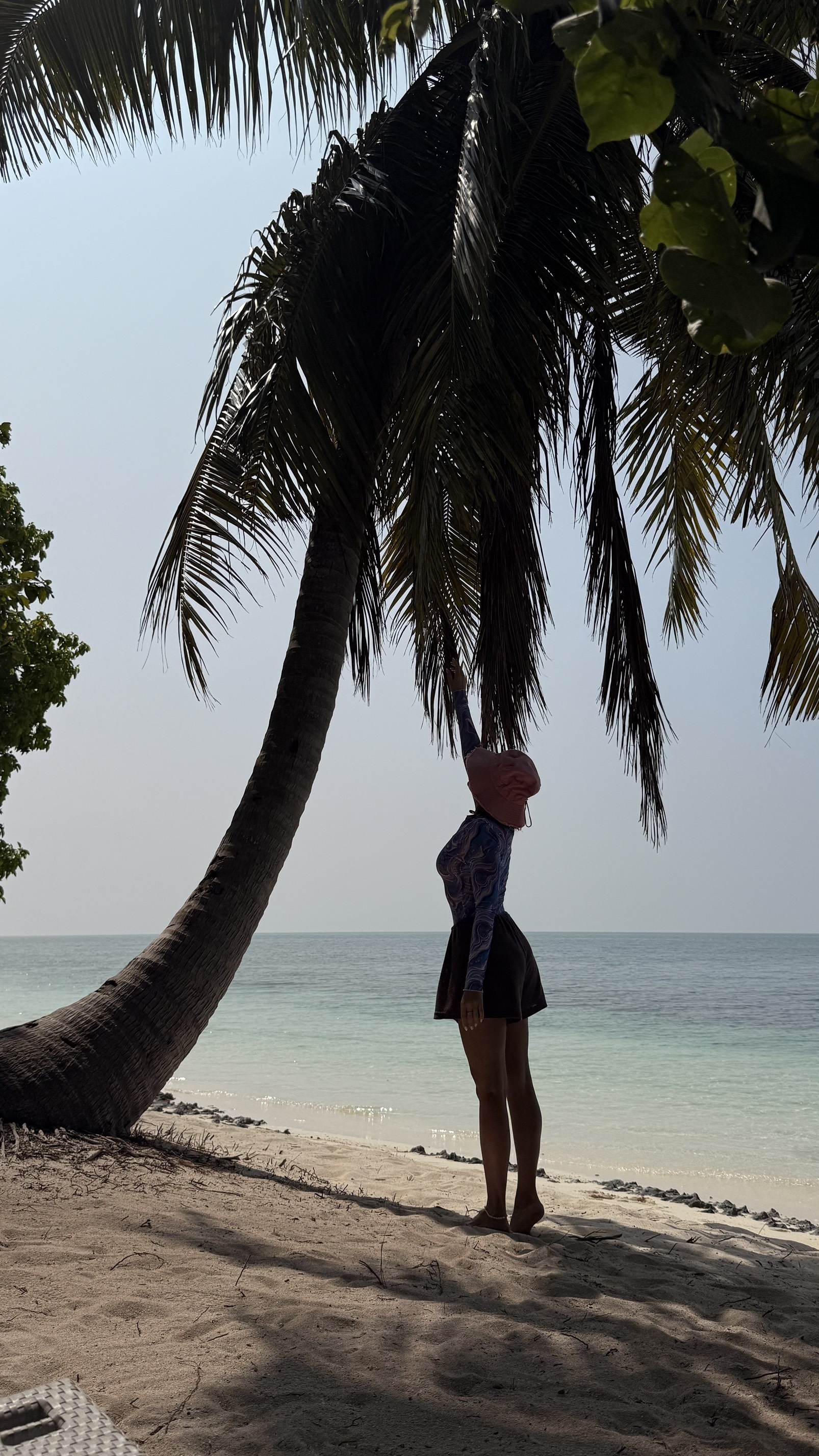 Приключения на острове Фуладу! Три острова! (25/33)