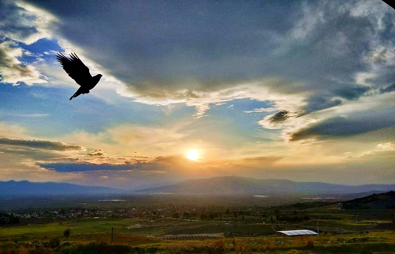 От Мечетей до Лавандовых Полей: Турецкое Приключение! (25/102)