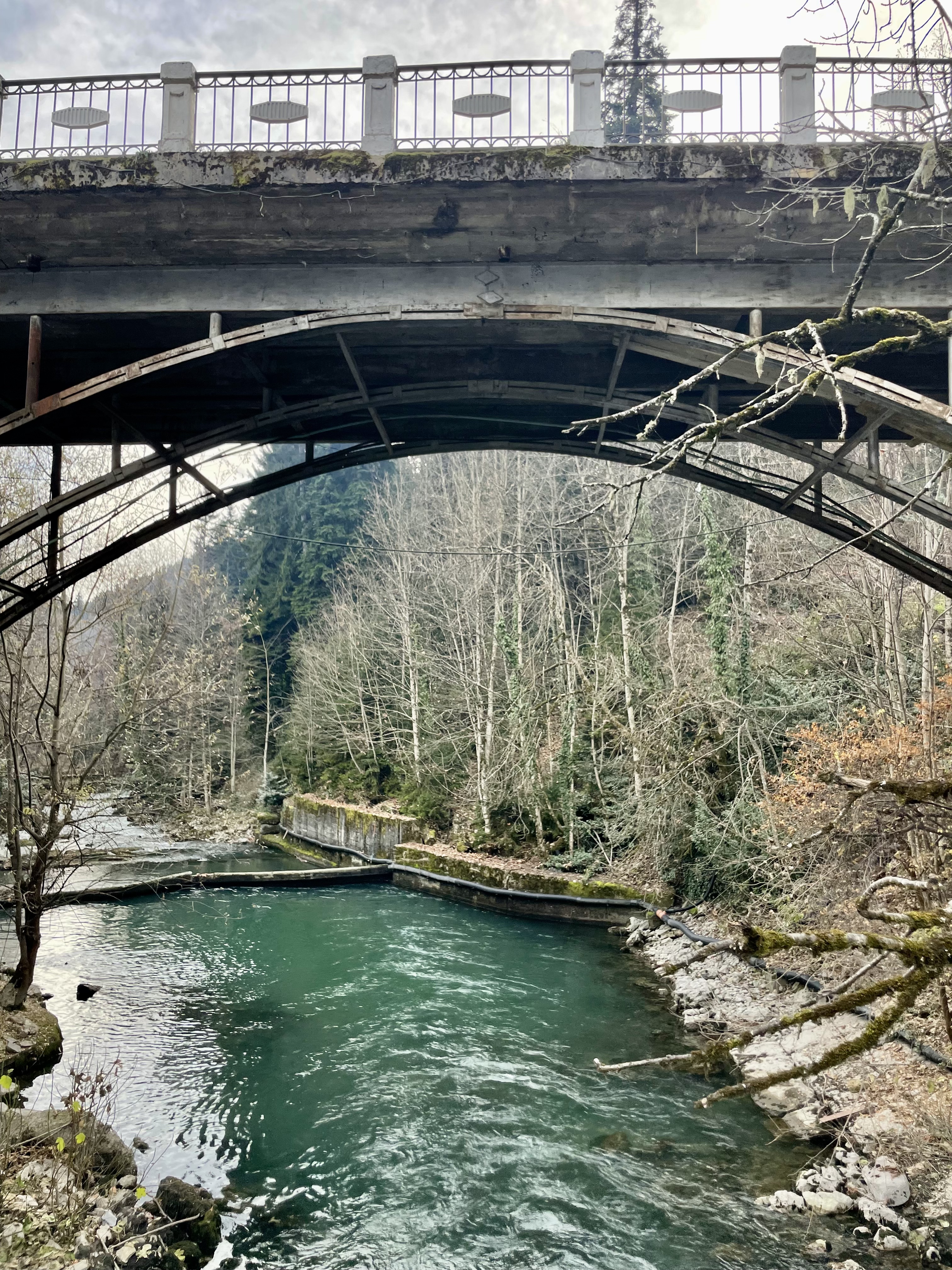 Женщина стихии: дикая, живая, настоящая. Абхазия (11/13)