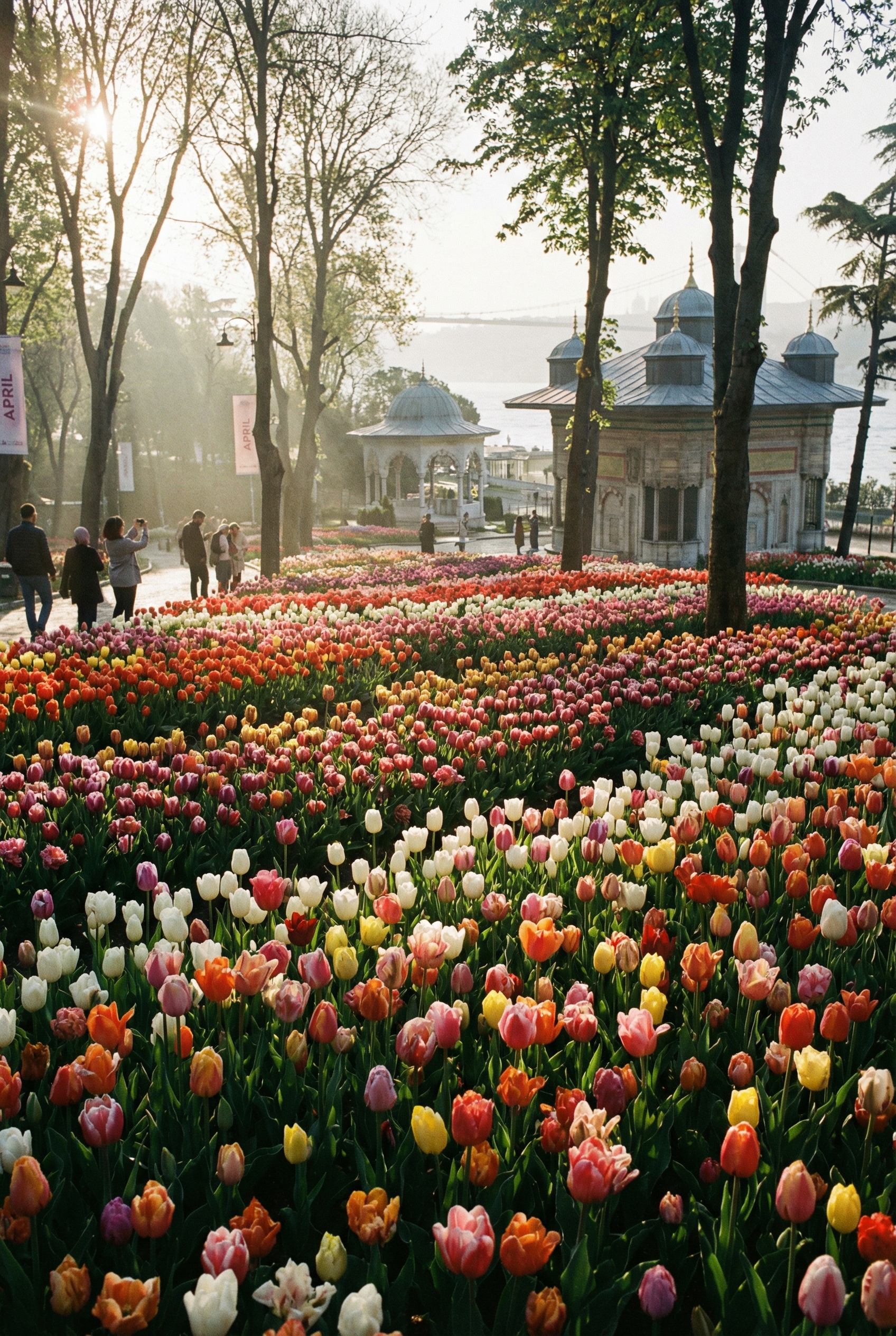Стамбул: праздник весны и эстетики (фототур) (15/22)