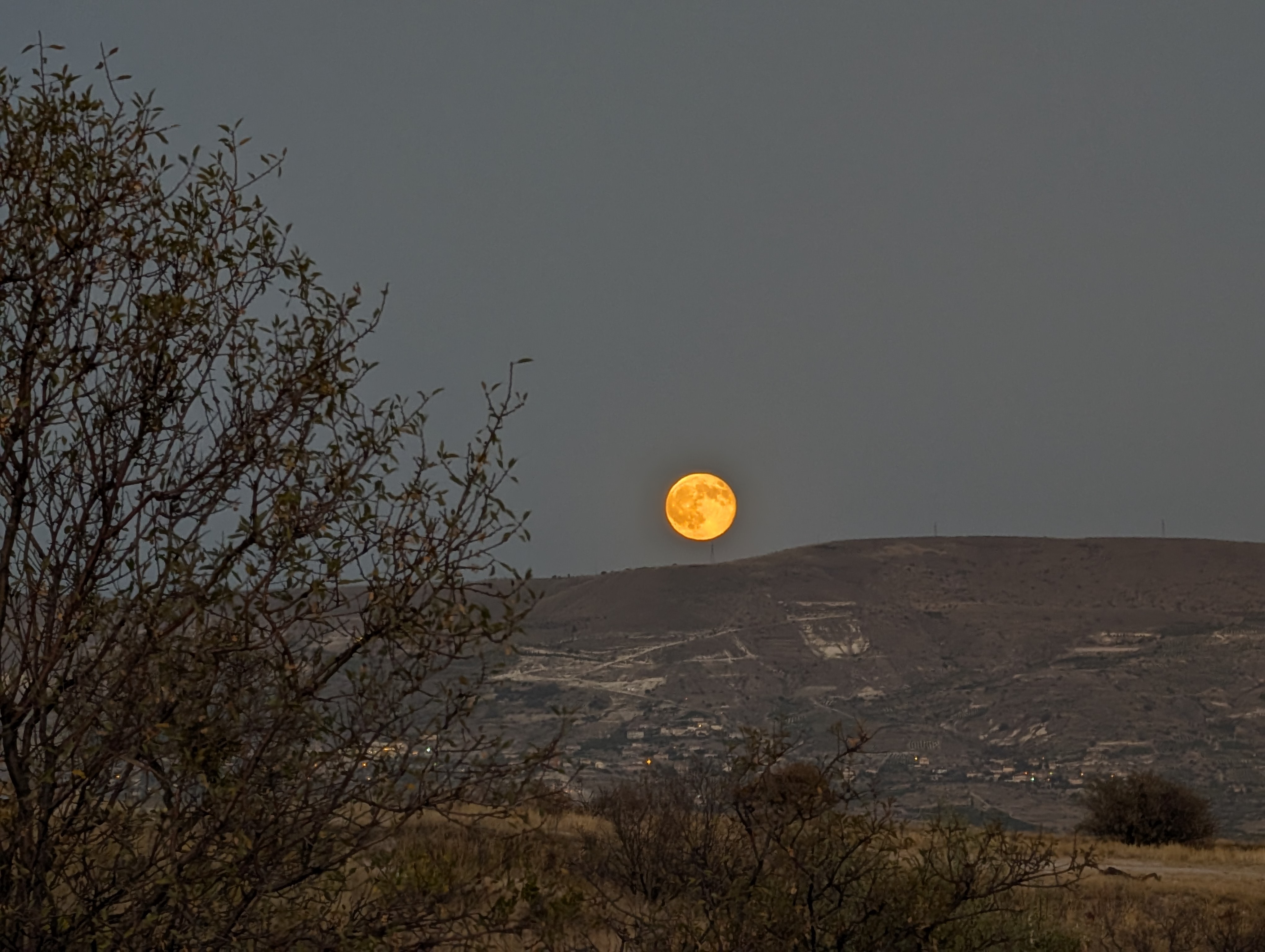 От Мечетей до Лавандовых Полей: Турецкое Приключение! (71/102)
