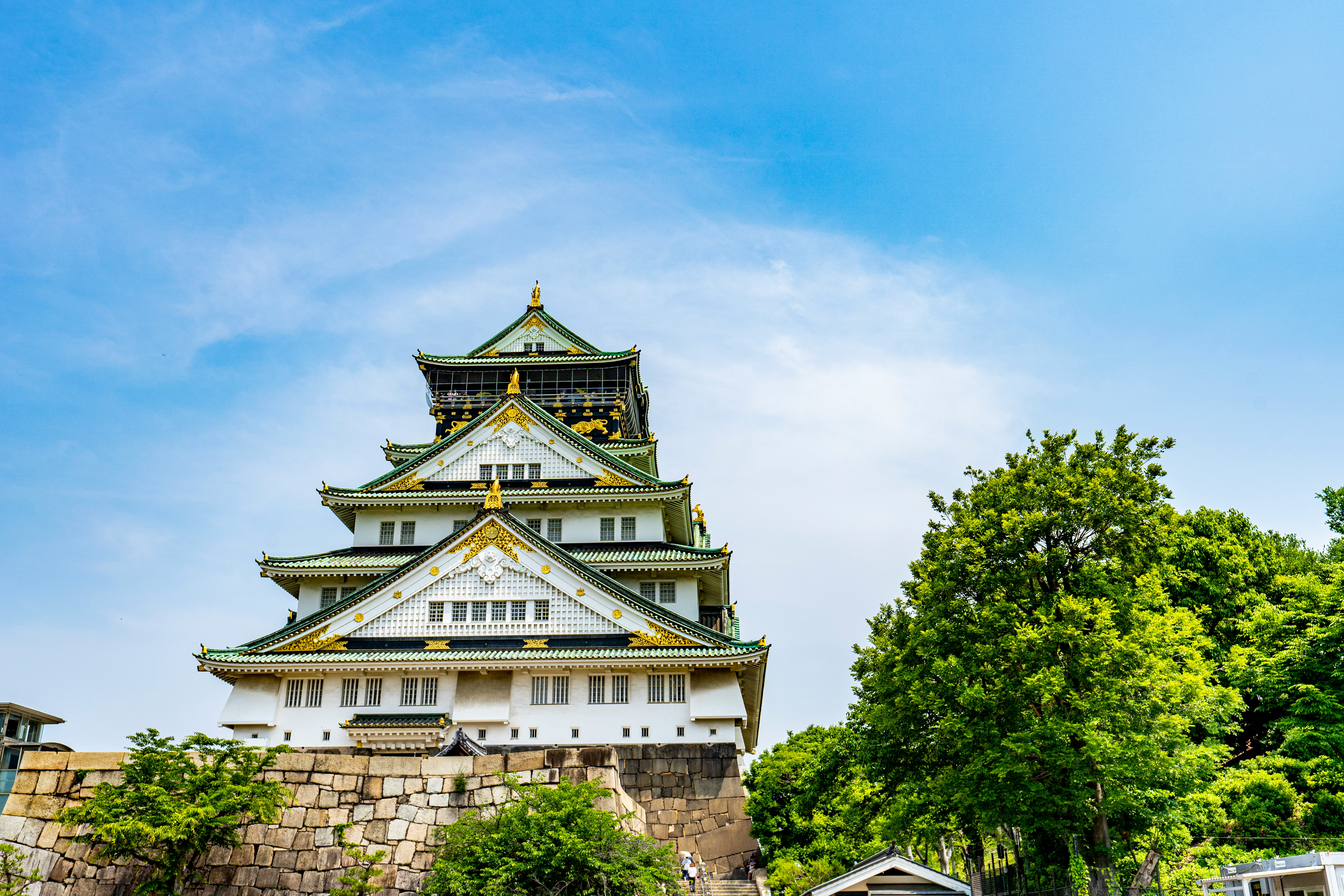 Большое японское путешествие на минивэне: Токио-Фудзи-Киото-Нара-Осака+Кобе (31/37)