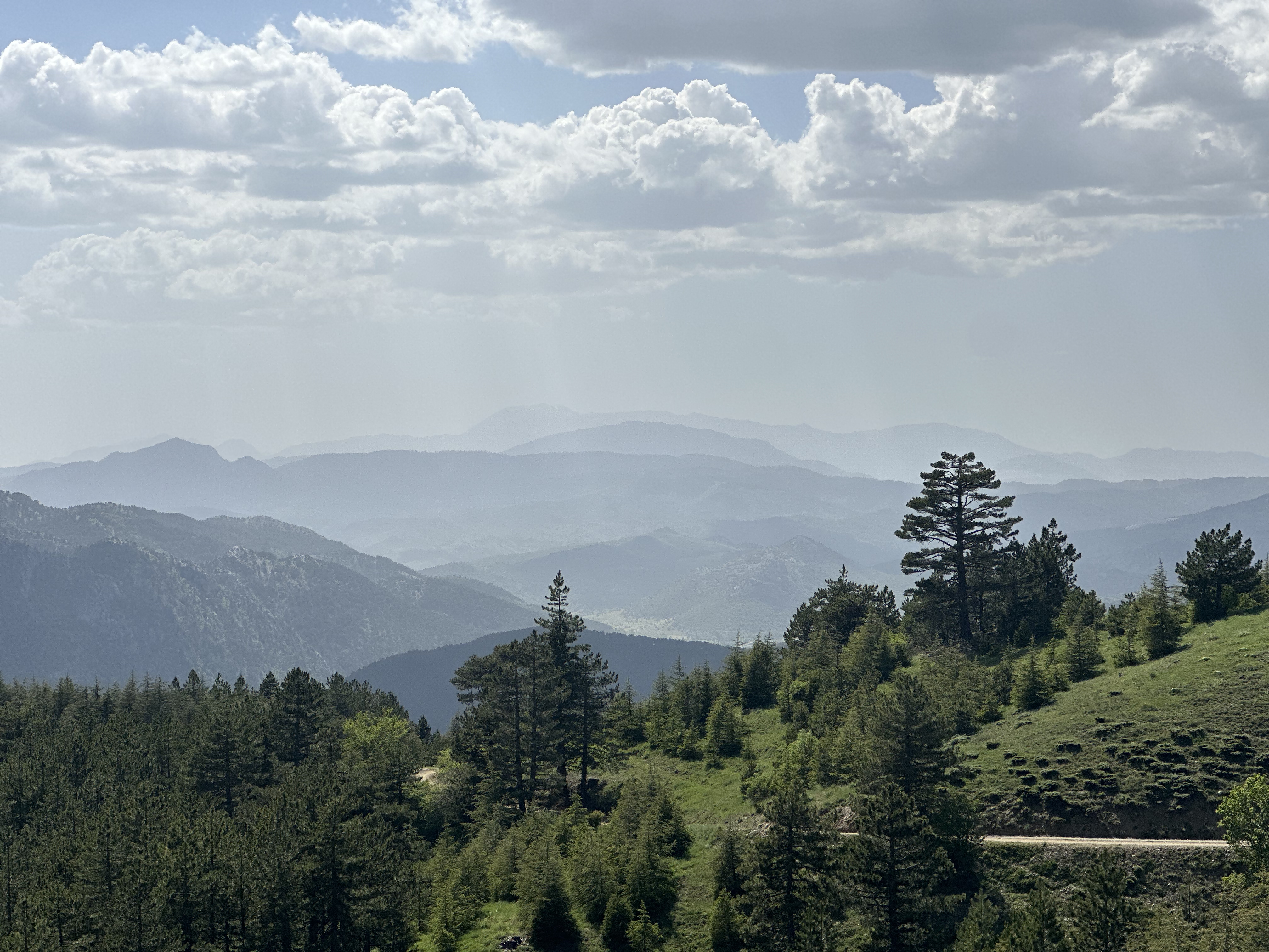 От Мечетей до Лавандовых Полей: Турецкое Приключение! (31/102)
