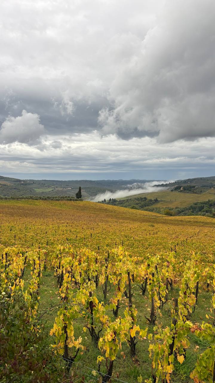 Романтический тур в Тоскану Все Включено! (16/17)