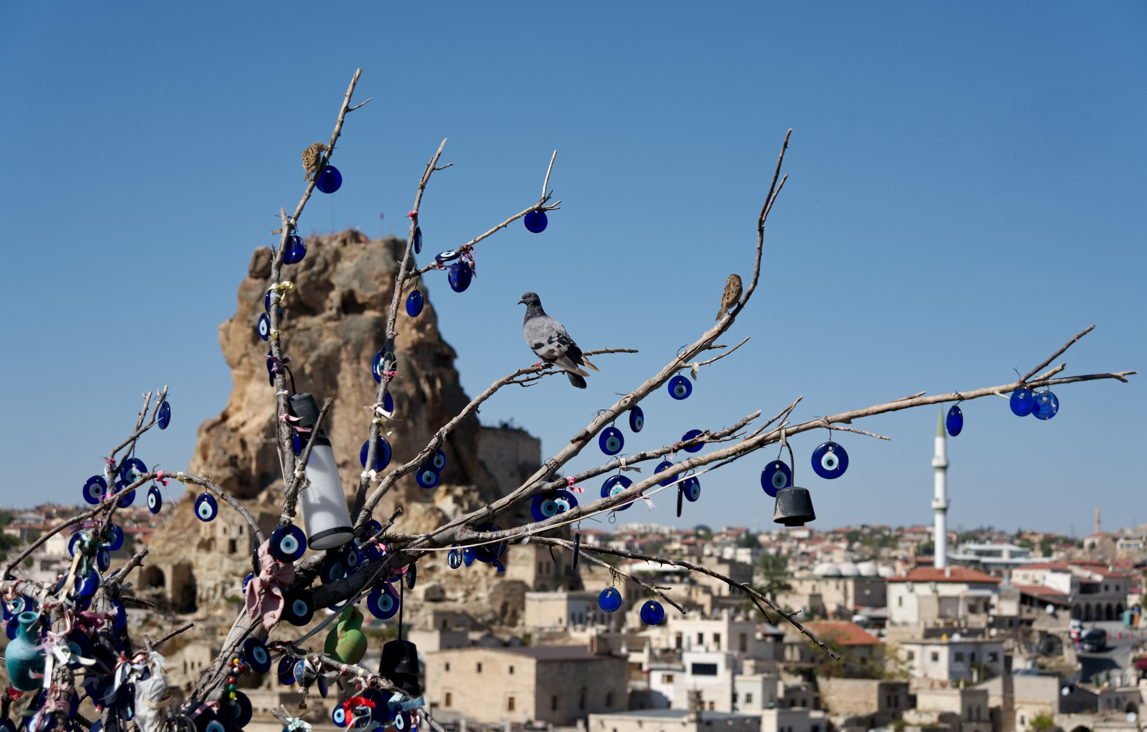 От Мечетей до Лавандовых Полей: Турецкое Приключение! (62/102)