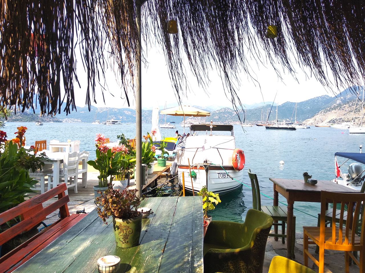 Авторский тур из Орхании до Книдоса и обратно.Турция. (70/79)