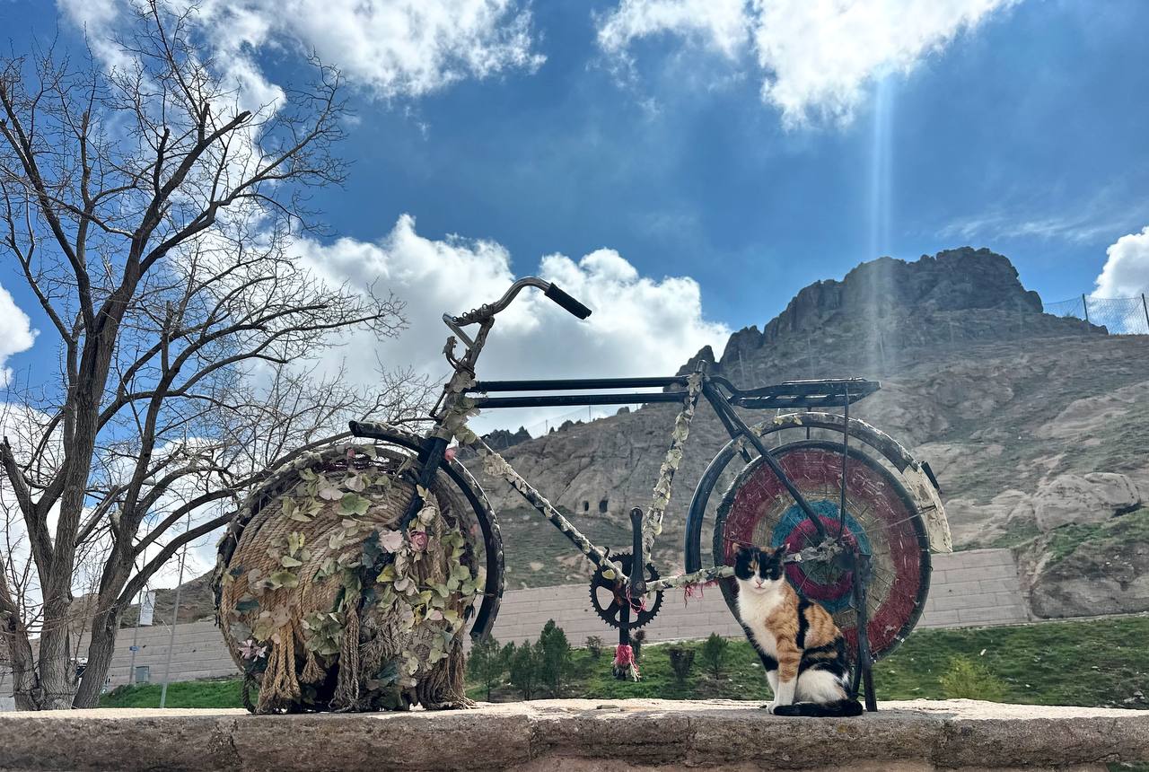 От Мечетей до Лавандовых Полей: Турецкое Приключение! (36/102)