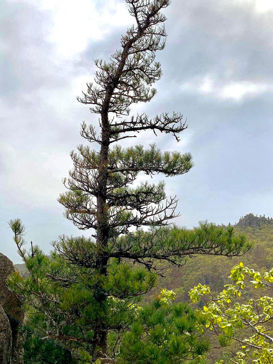 Экскурсия Долина Атлантов и бухта Спокойная (7/15)