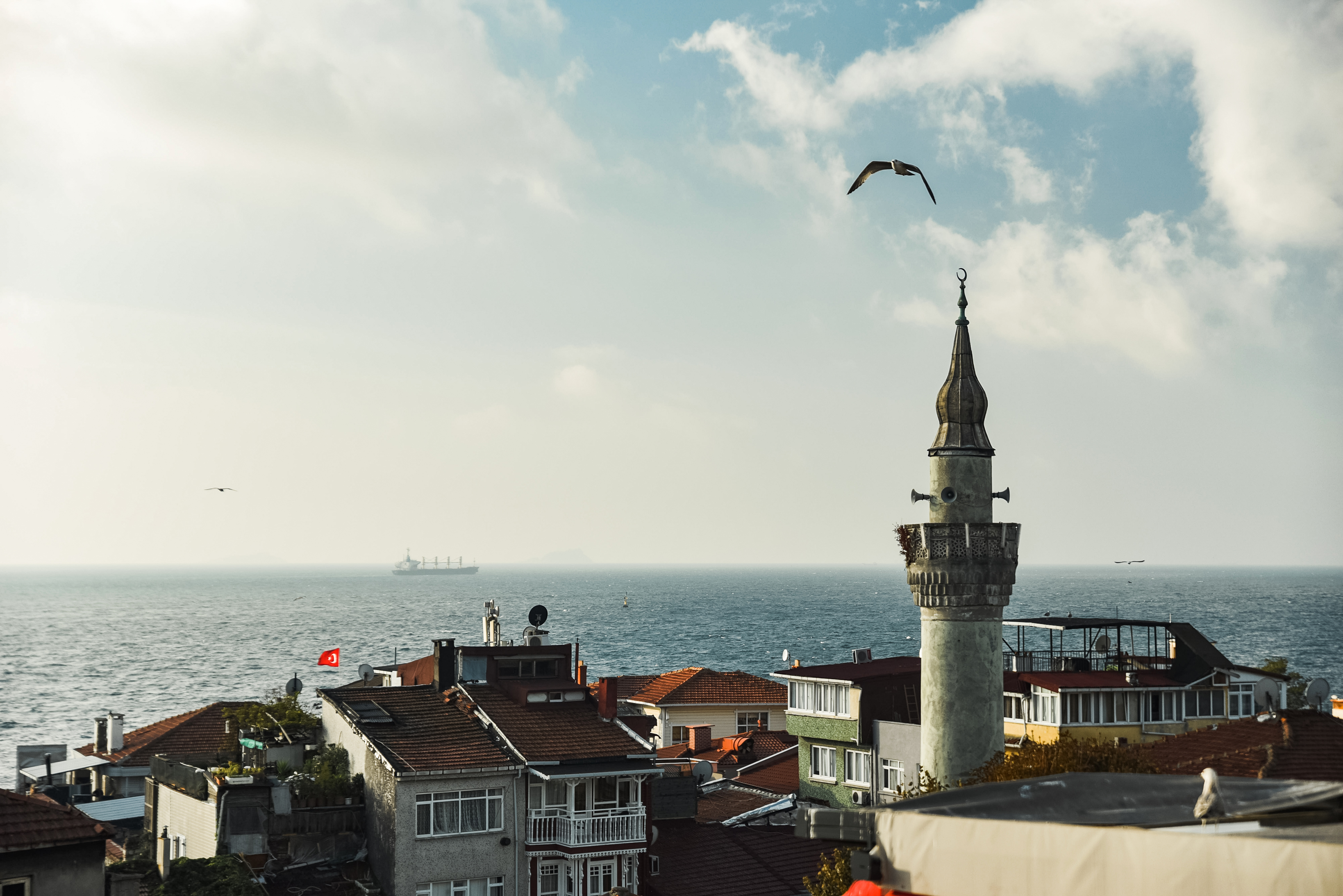 Стамбул: праздник весны и эстетики (фототур) (6/22)