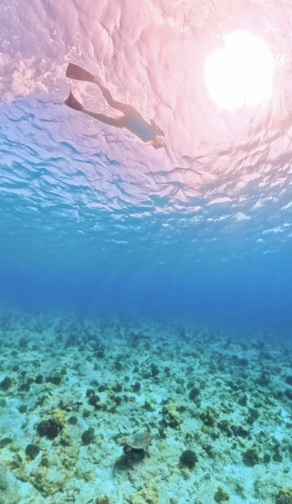 Активные Мальдивы по трем островам! (7/29)