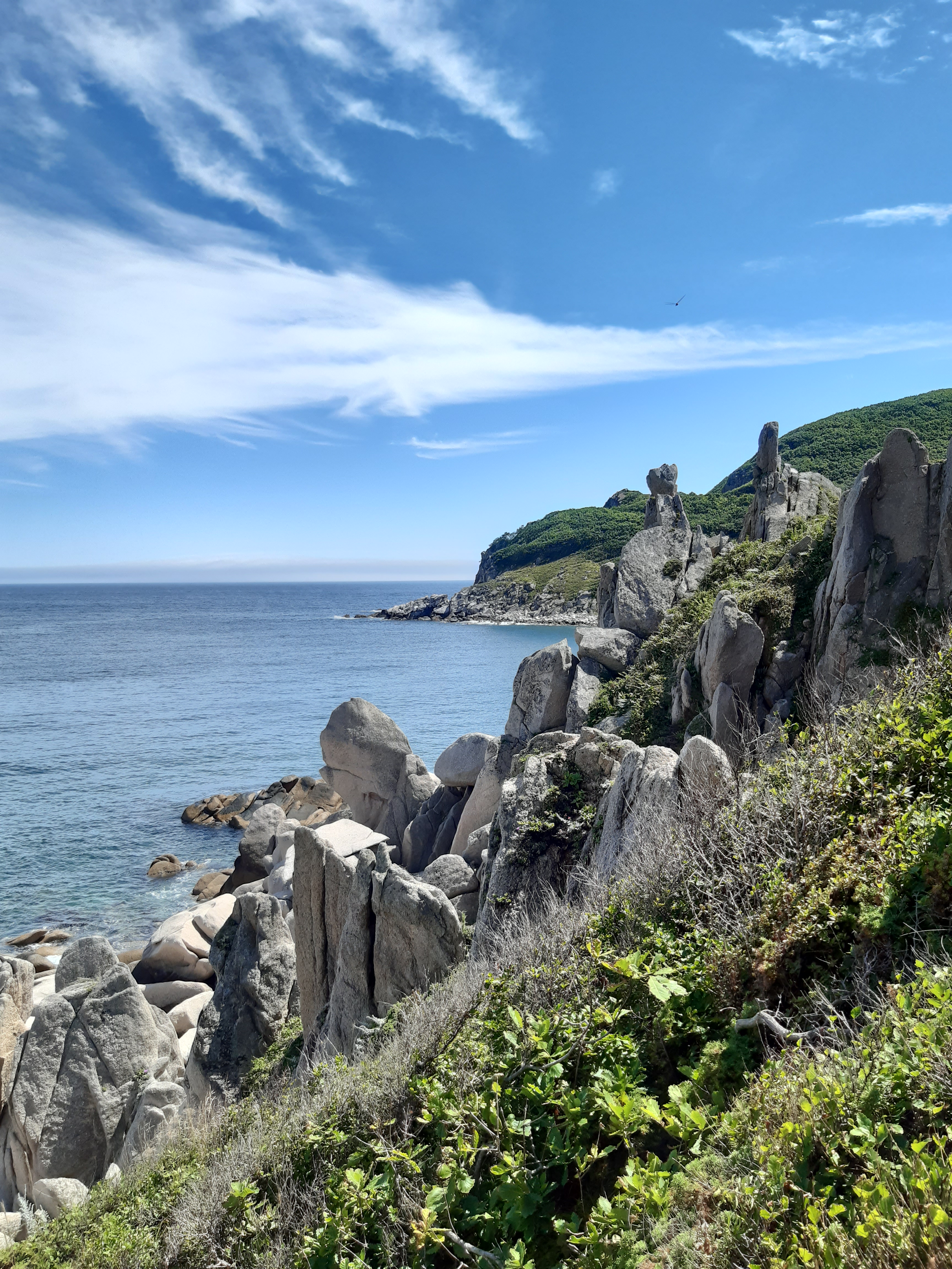 Экскурсия Долина Атлантов и бухта Спокойная (10/15)