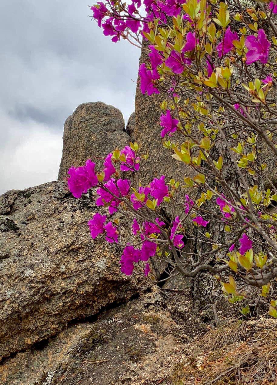Экскурсия Долина Атлантов и бухта Спокойная (6/15)