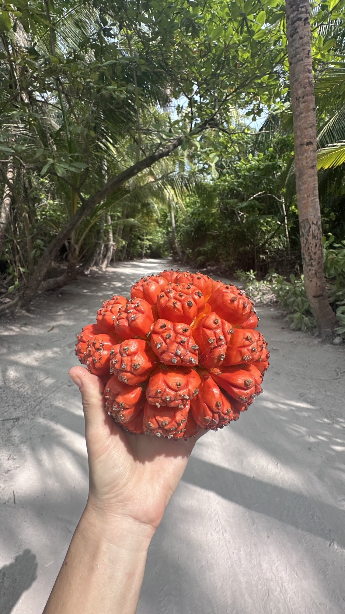 Приключения на острове Фуладу! Три острова! (5/33)