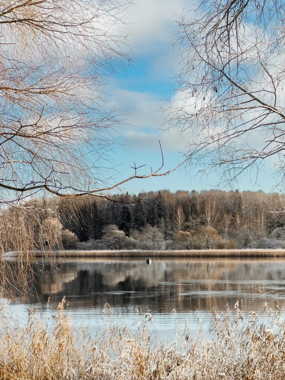 Сексуальность без стыда