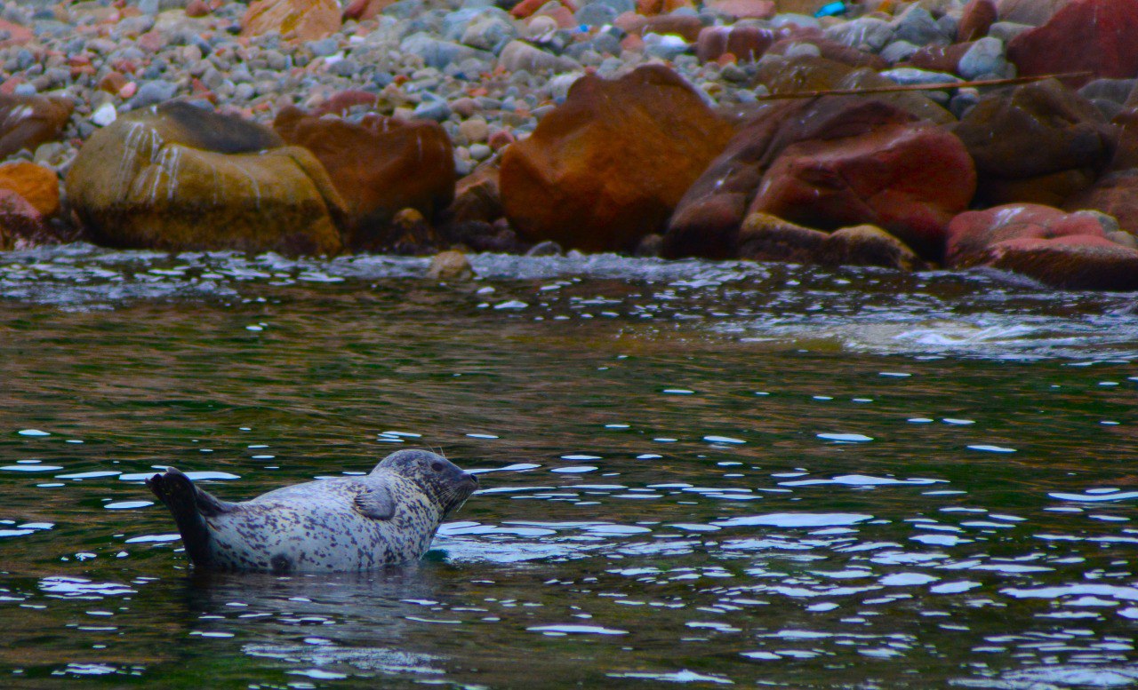 Экскурсия 6 островов: морская одиссея по островам архипелага Императрицы Евгении (18/18)