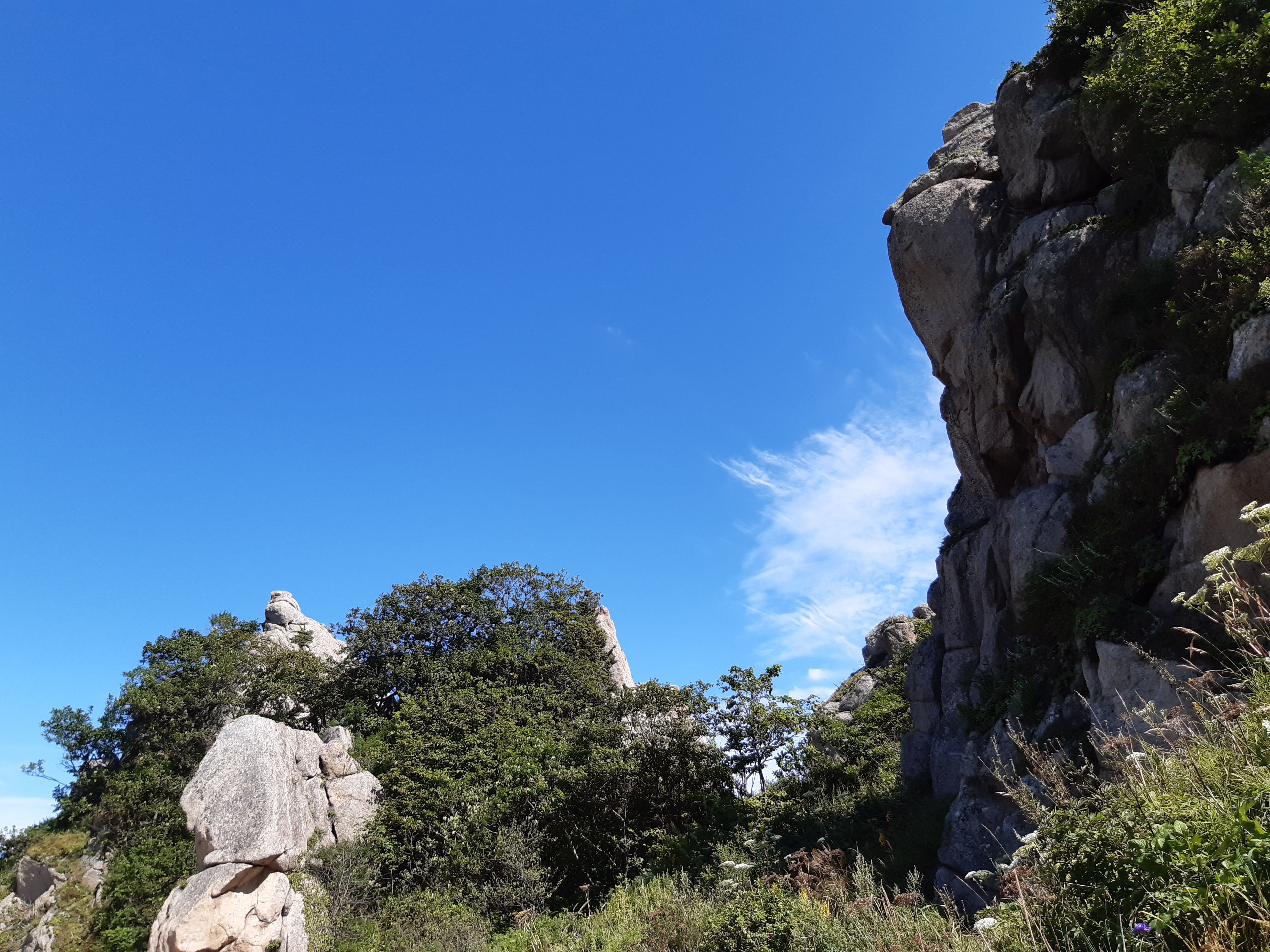 Экскурсия Долина Атлантов и бухта Спокойная (12/15)