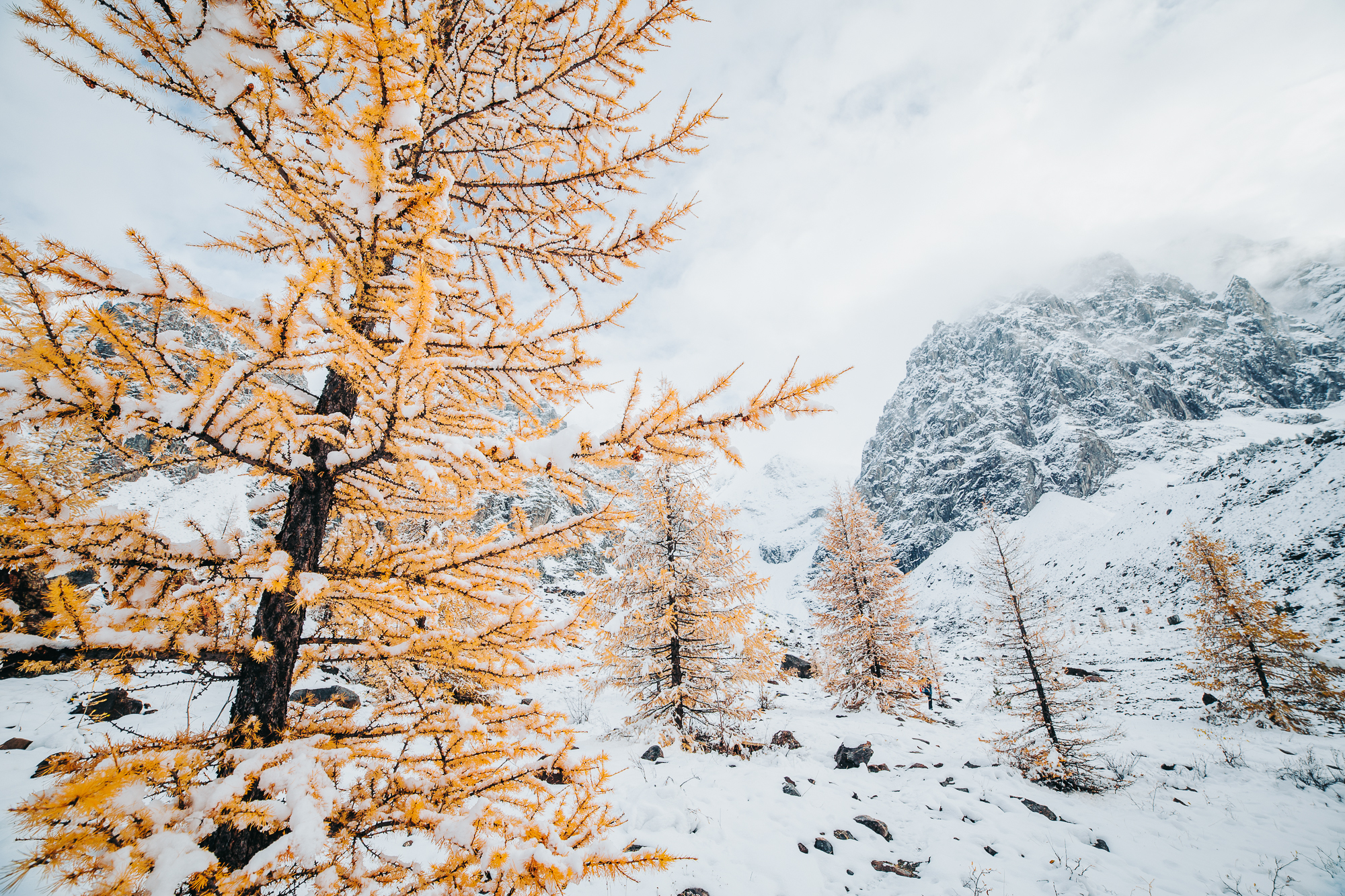 Точка встречи Осенний Алтай! (16/28)