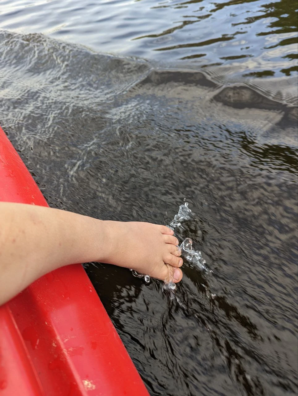 Ладожские шхеры. Семейный сплав на каяках с острова Кильпола (4+) (5/13)