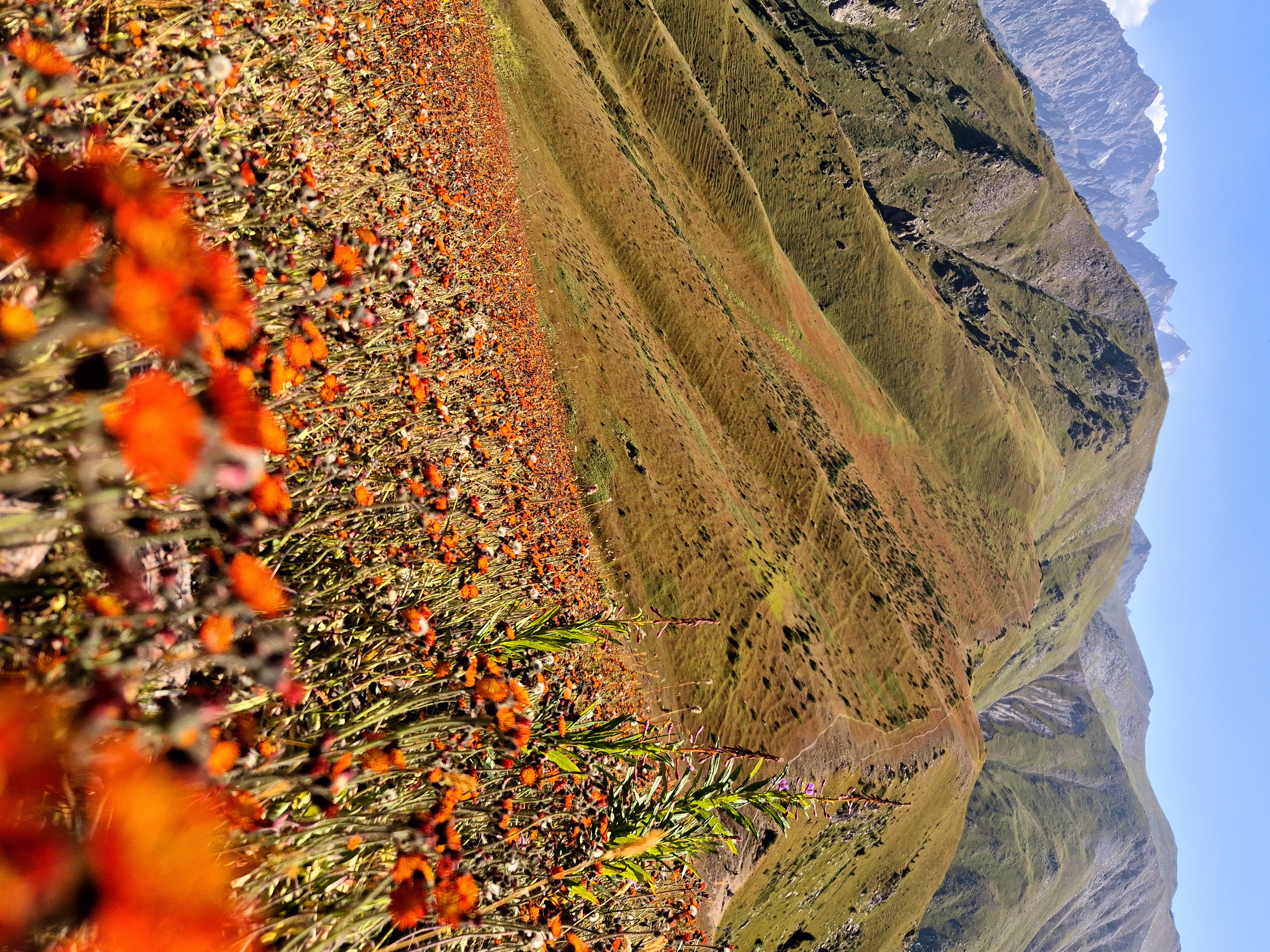 Пик Букреева (3010 м н.у.м.)