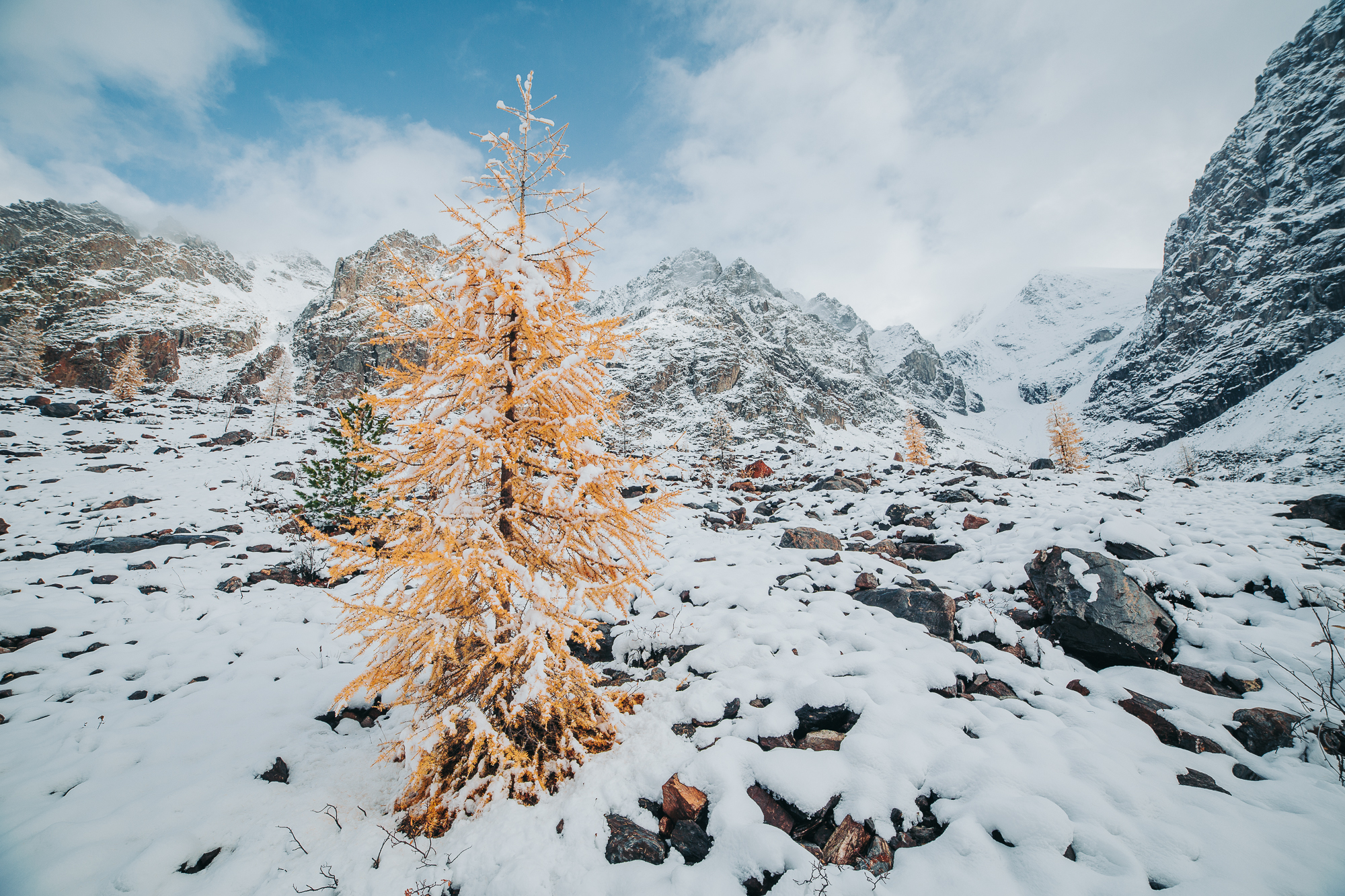 Точка встречи Осенний Алтай! (15/28)