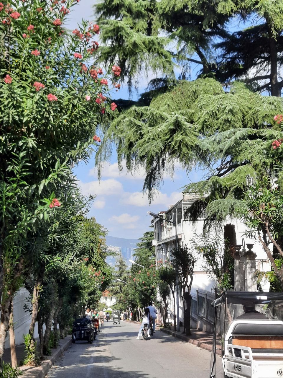 В плену тюльпанов Стамбула+яхта+принцевы острова (2/22)