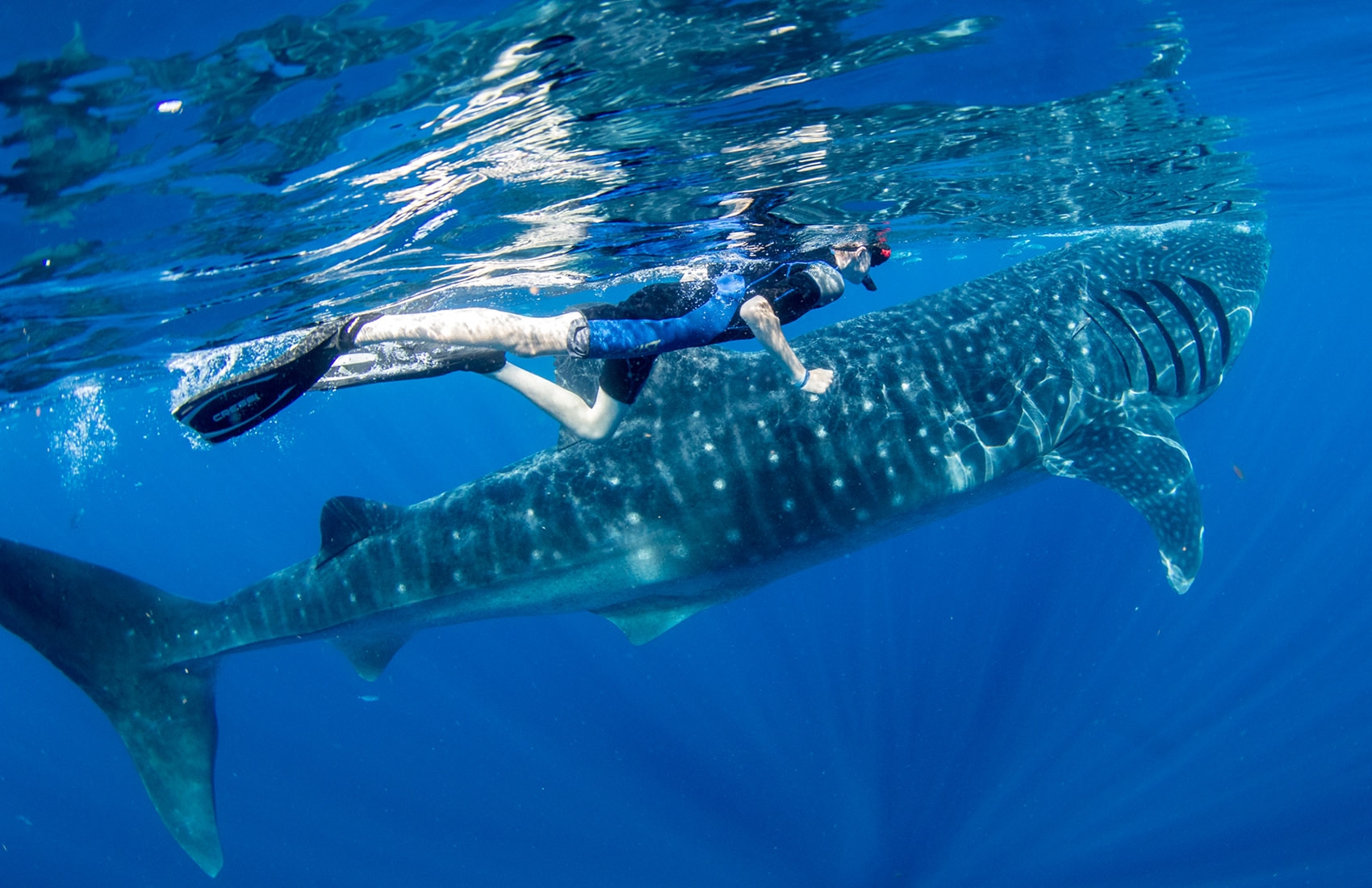 Филиппины: баунти-вайб в Тихом океане (4/14)
