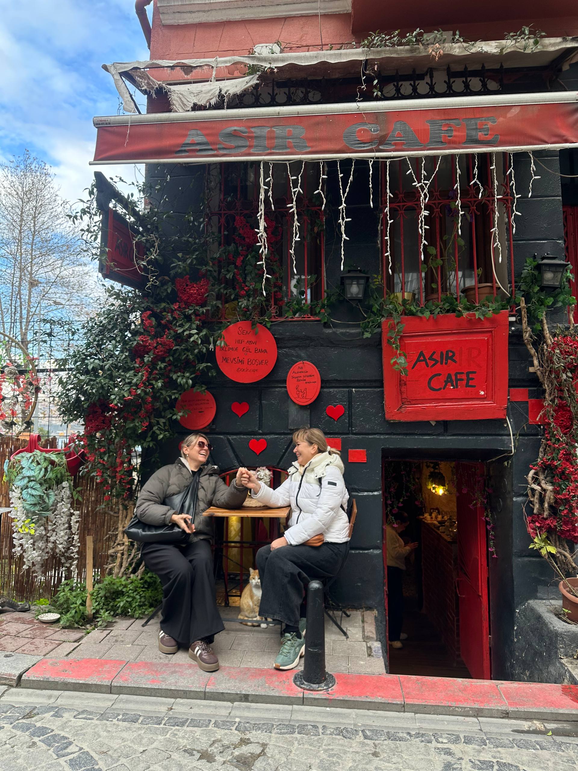 В плену тюльпанов Стамбула+яхта+принцевы острова (3/22)