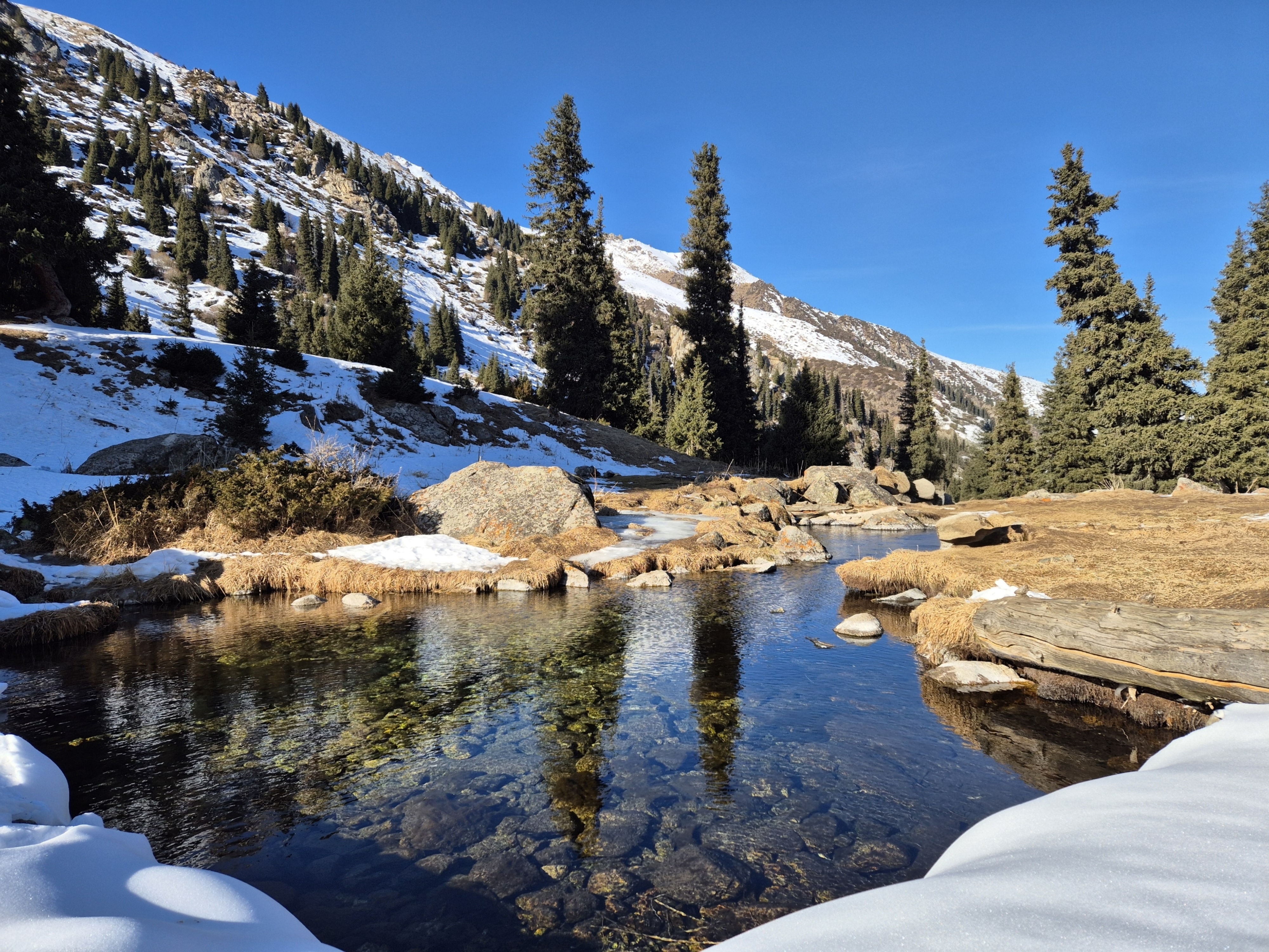 Поляна Терра и подвесной мост