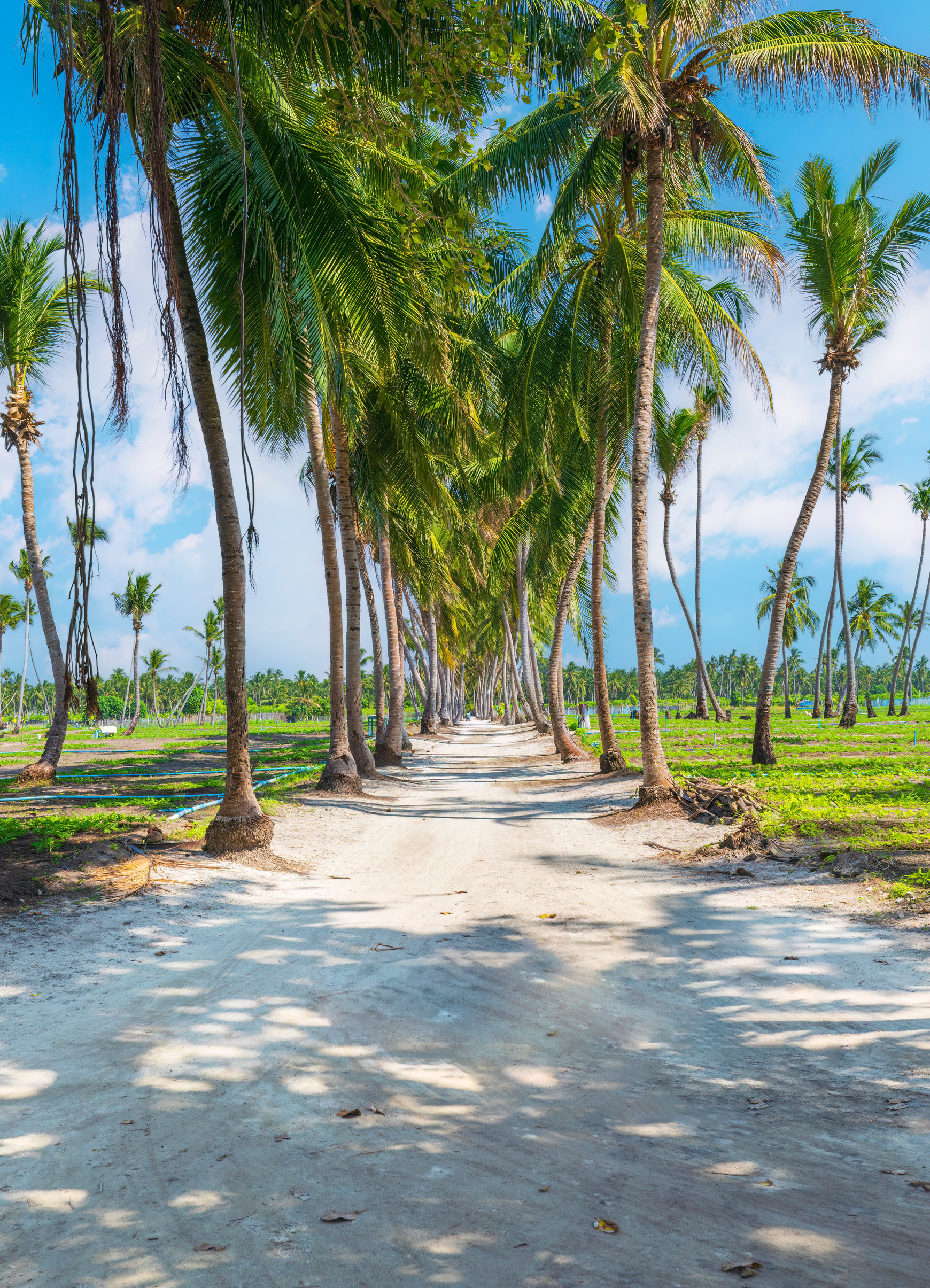 Магия Мальдив: девичник на вилле с бассейном! (20/36)