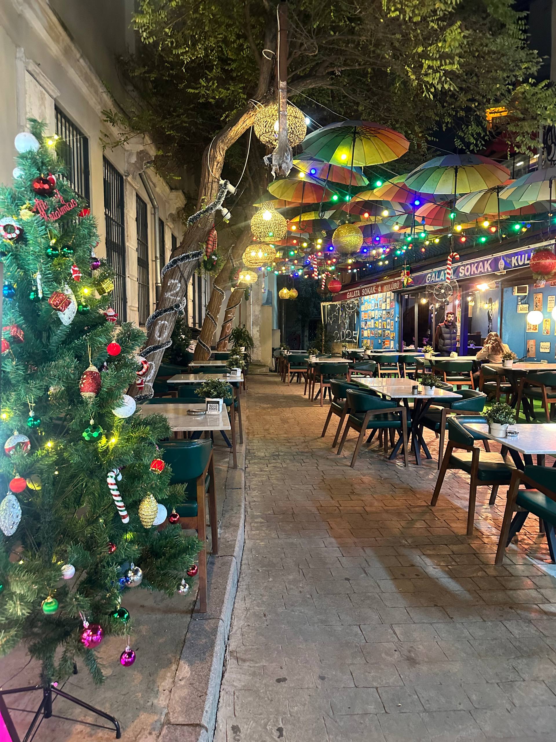 В плену тюльпанов Стамбула+яхта+принцевы острова (10/22)