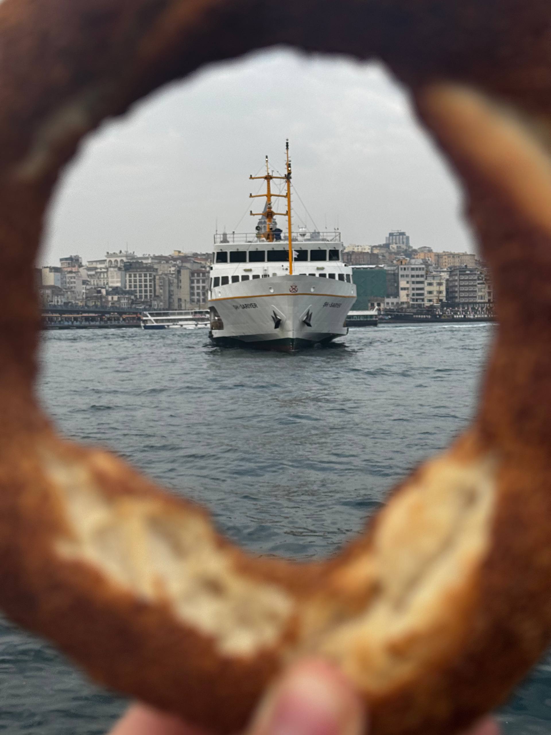 В плену тюльпанов Стамбула+яхта+принцевы острова (9/22)