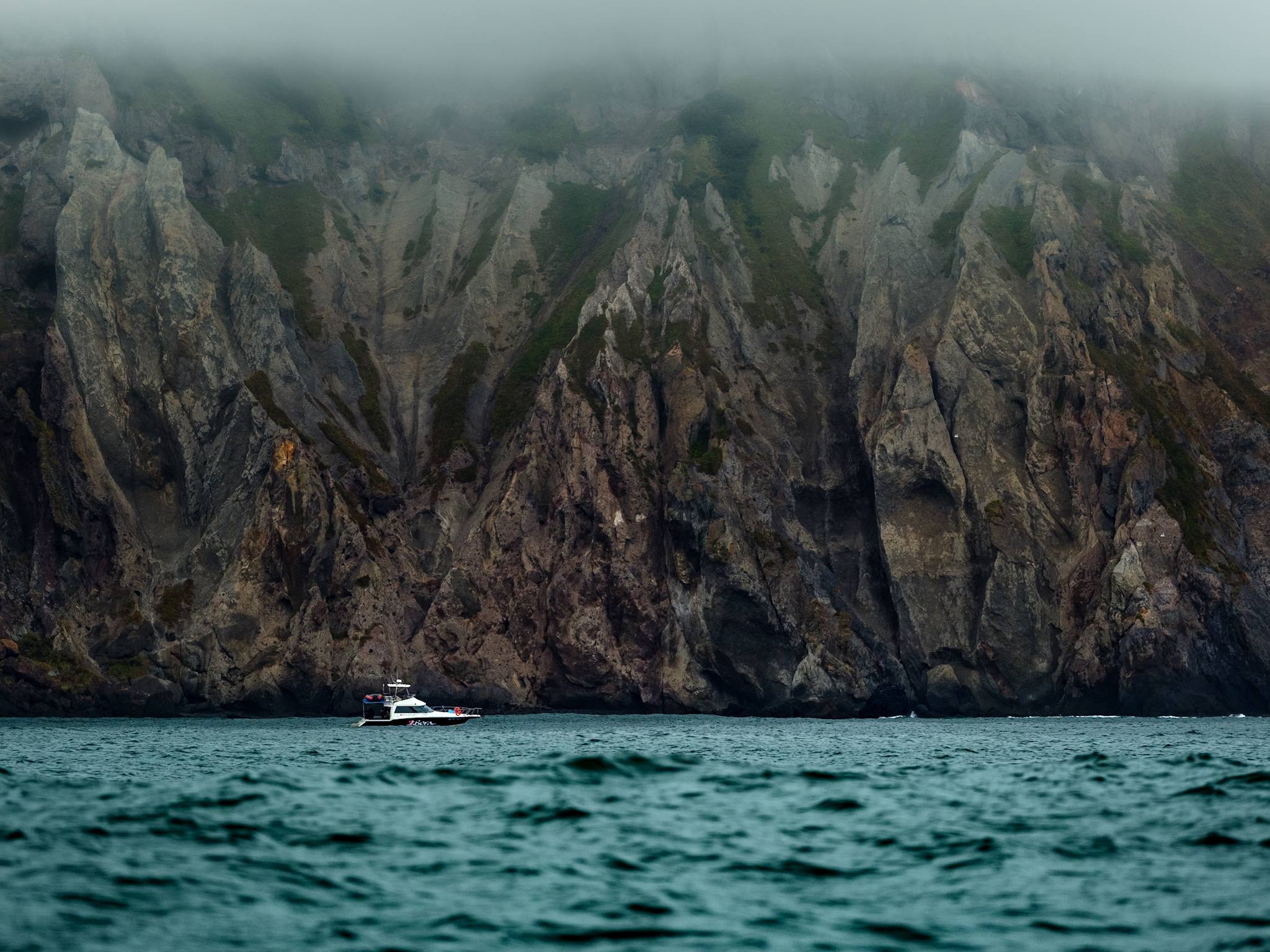 Морское сафари с китами и косатками