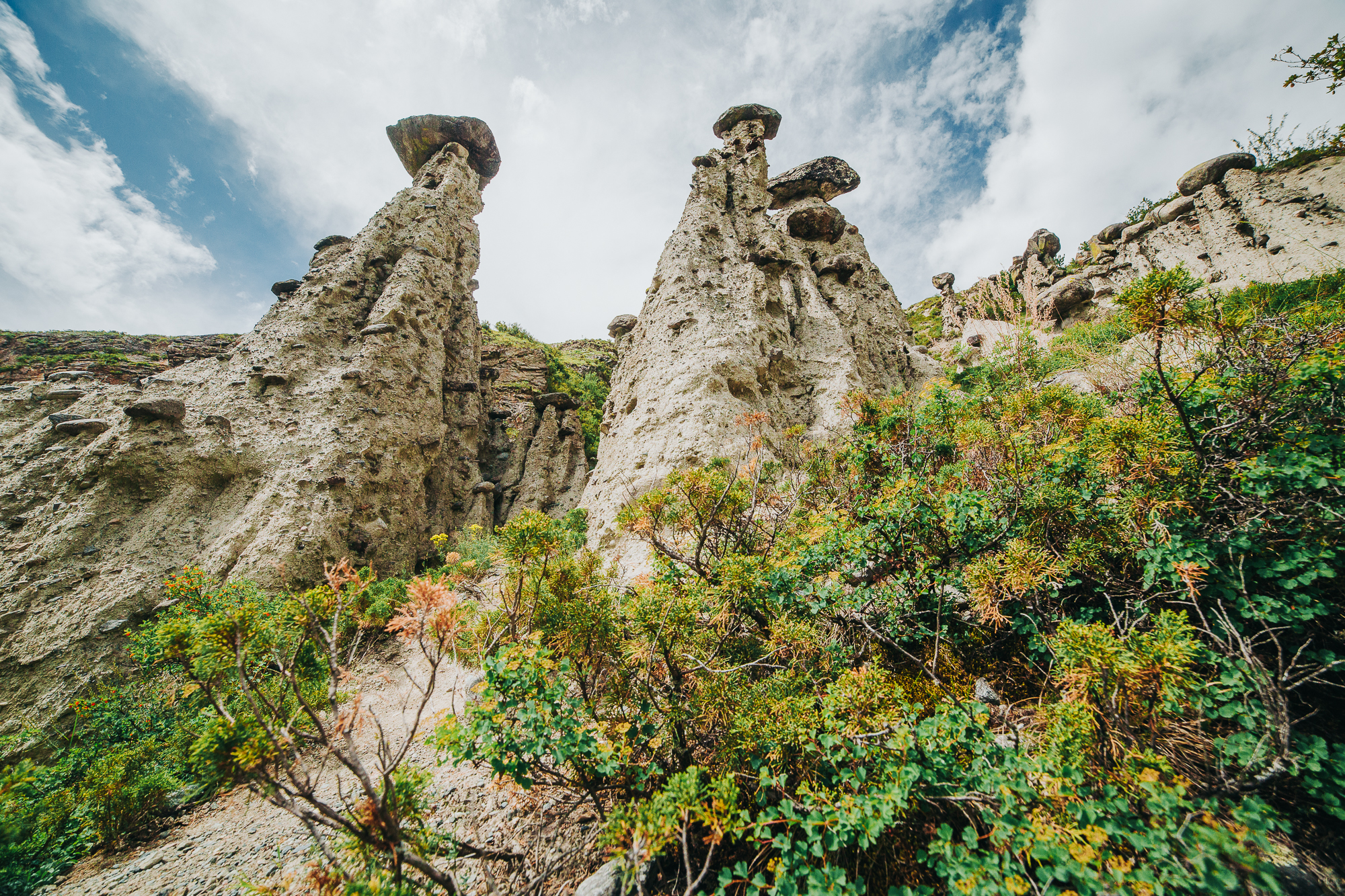 Точка встречи Осенний Алтай! (25/28)