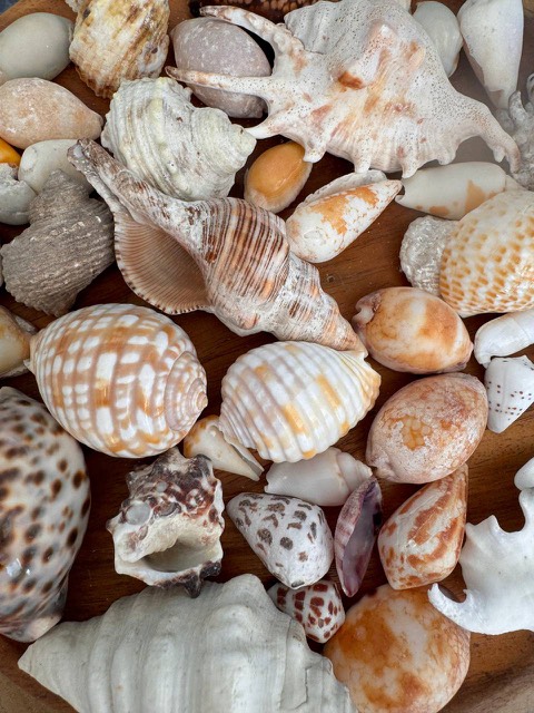 Приключения на острове Фуладу! Три острова! (10/33)