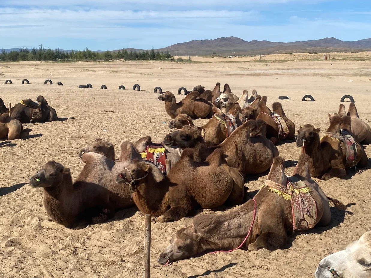 Силой Вечного Неба (6/15)