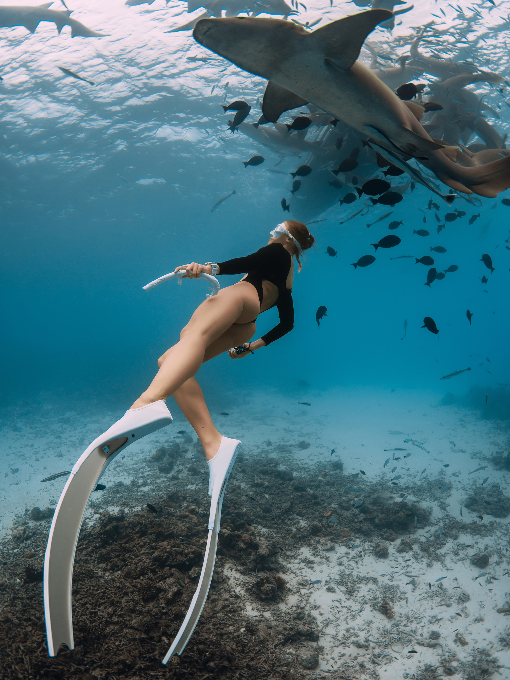 8 дней на райском острове для пар, семей и компании лучших друзей! Все включено! (38/42)