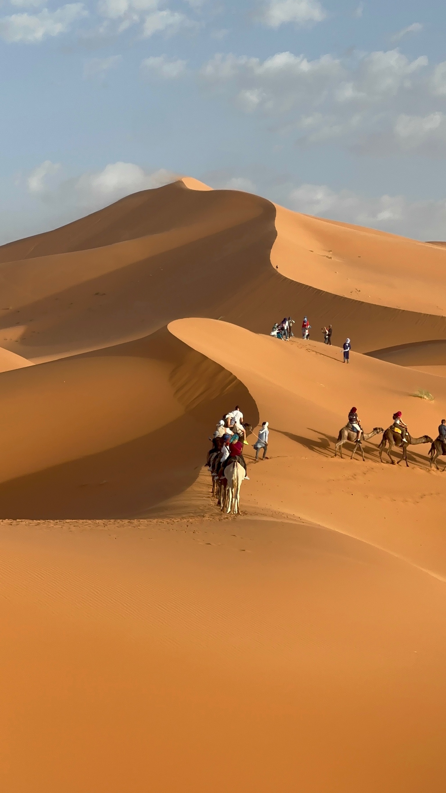 Марокко как в кино: дворцы, касбы, пустыня — всё лучшее за 8 дней (15/20)